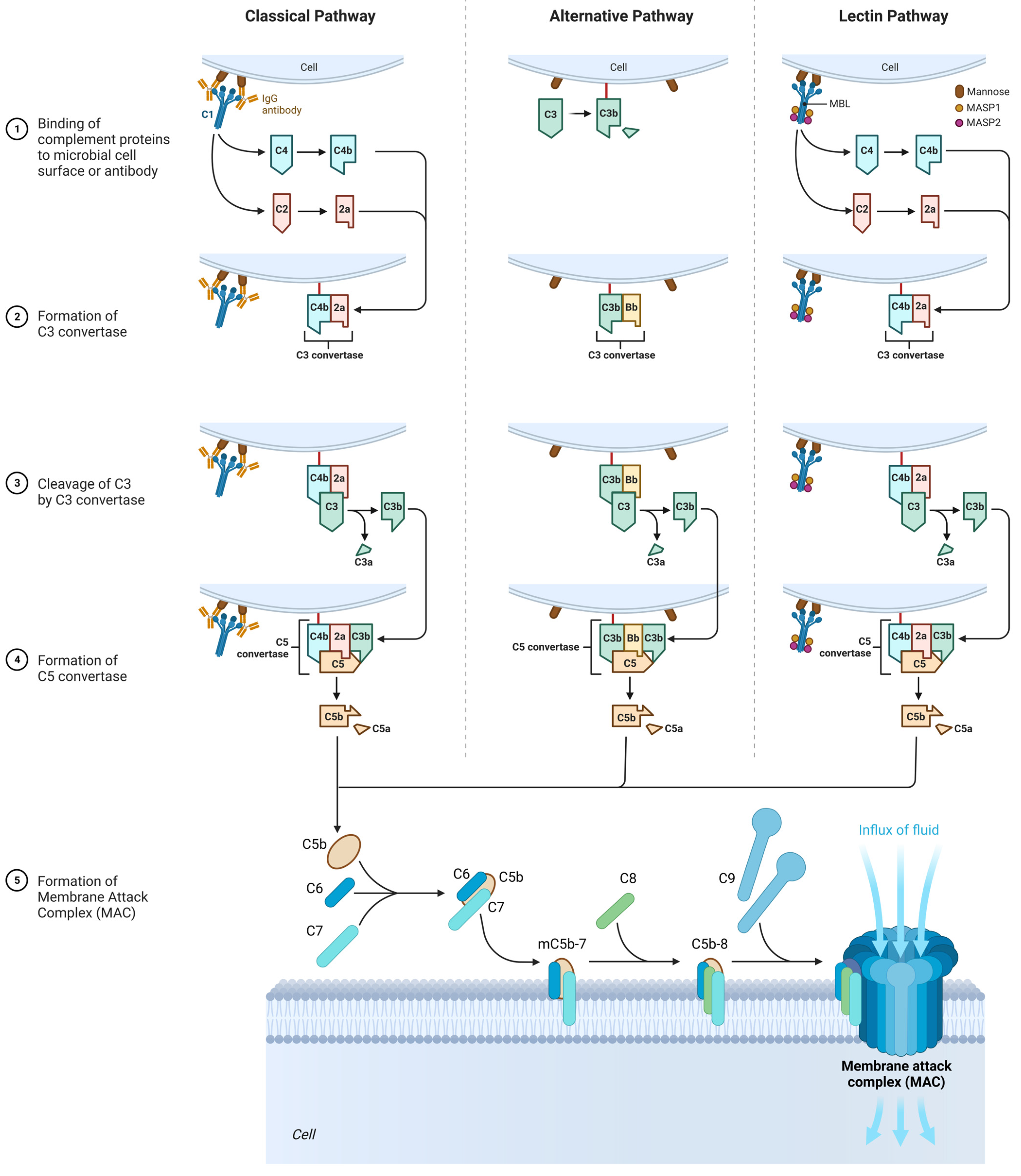 Ijms 24 00809 g005 Ijms 24 00809 g005