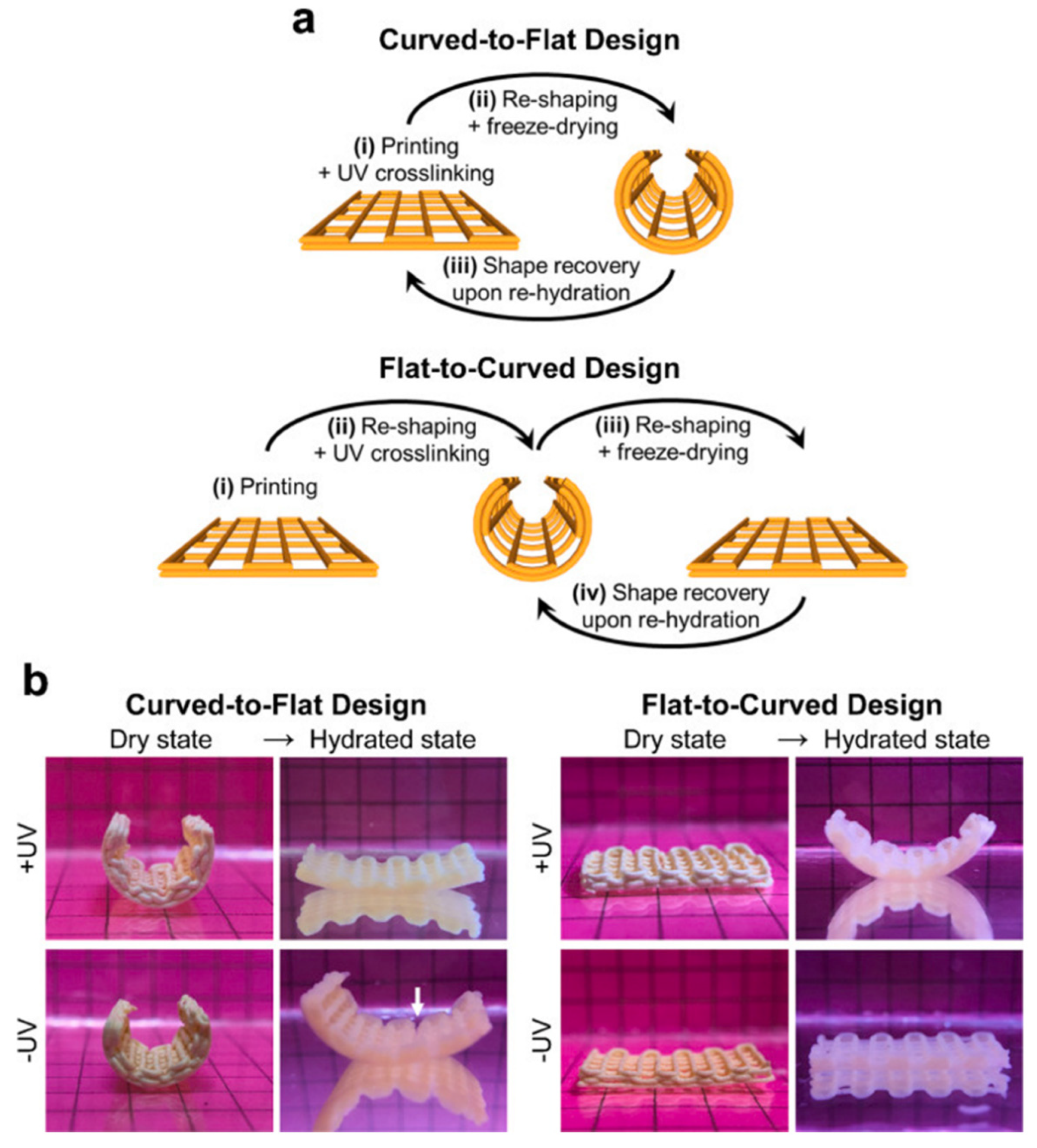 Ijms 24 00814 g001 Ijms 24 00814 g001