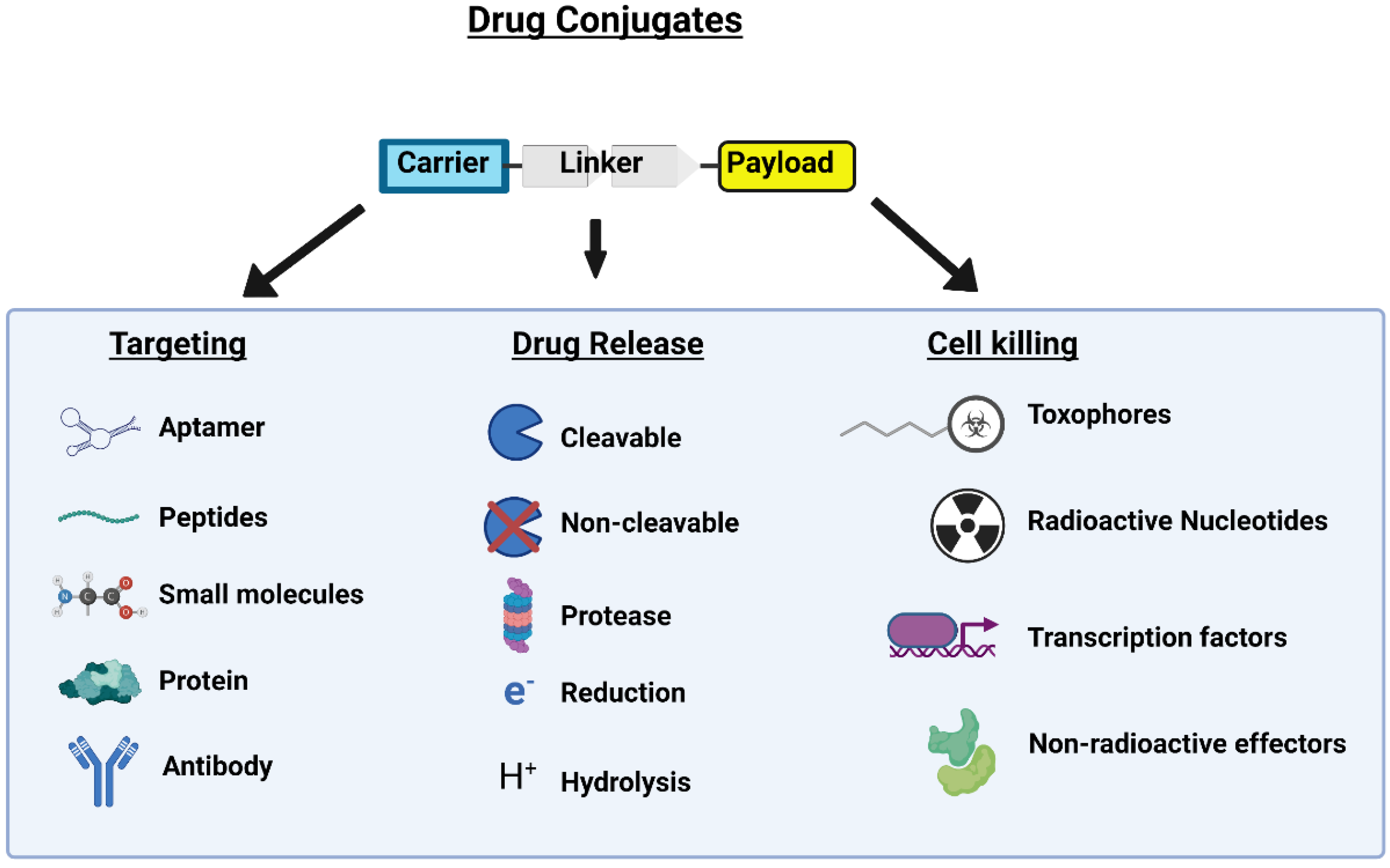 IJMS | Free Full-Text | Peptide Drug Conjugates and Their Role in Cancer  Therapy