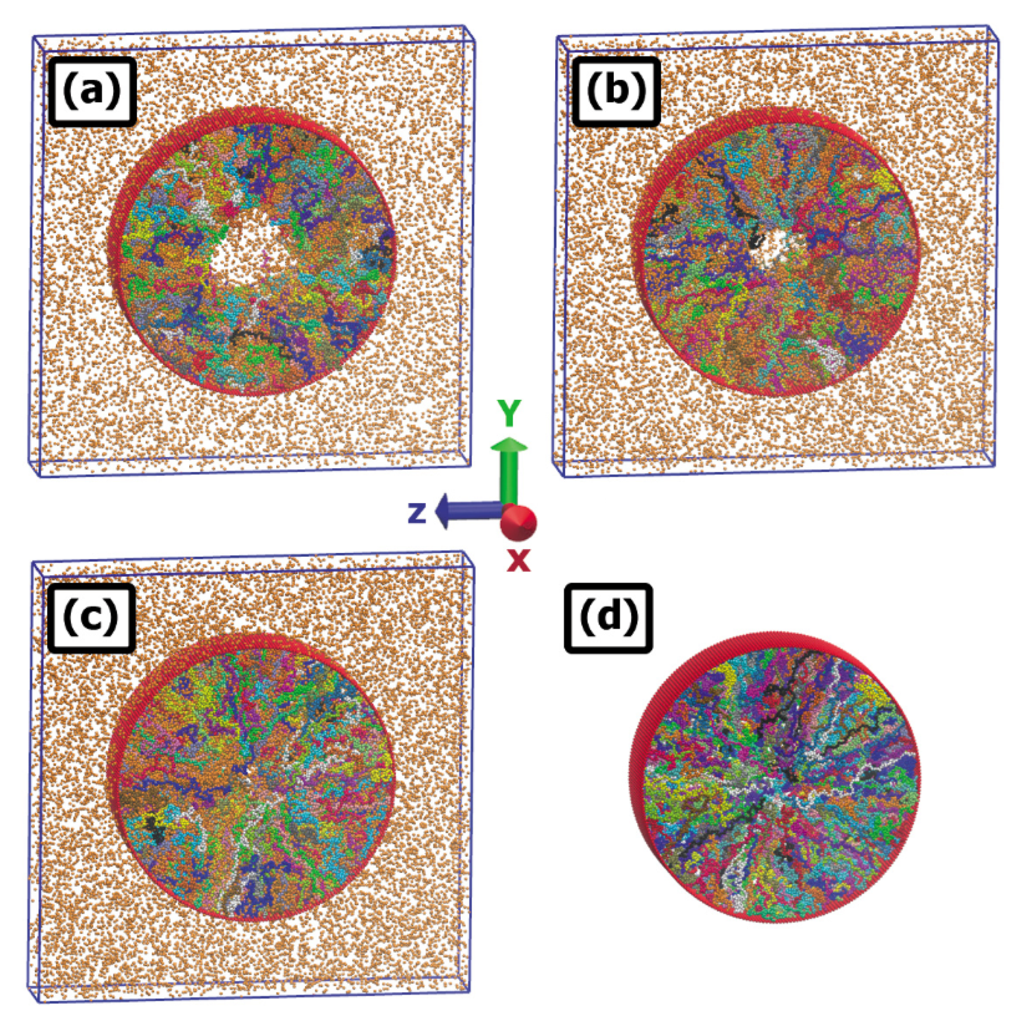 Ijms 24 00832 g011 Ijms 24 00832 g011