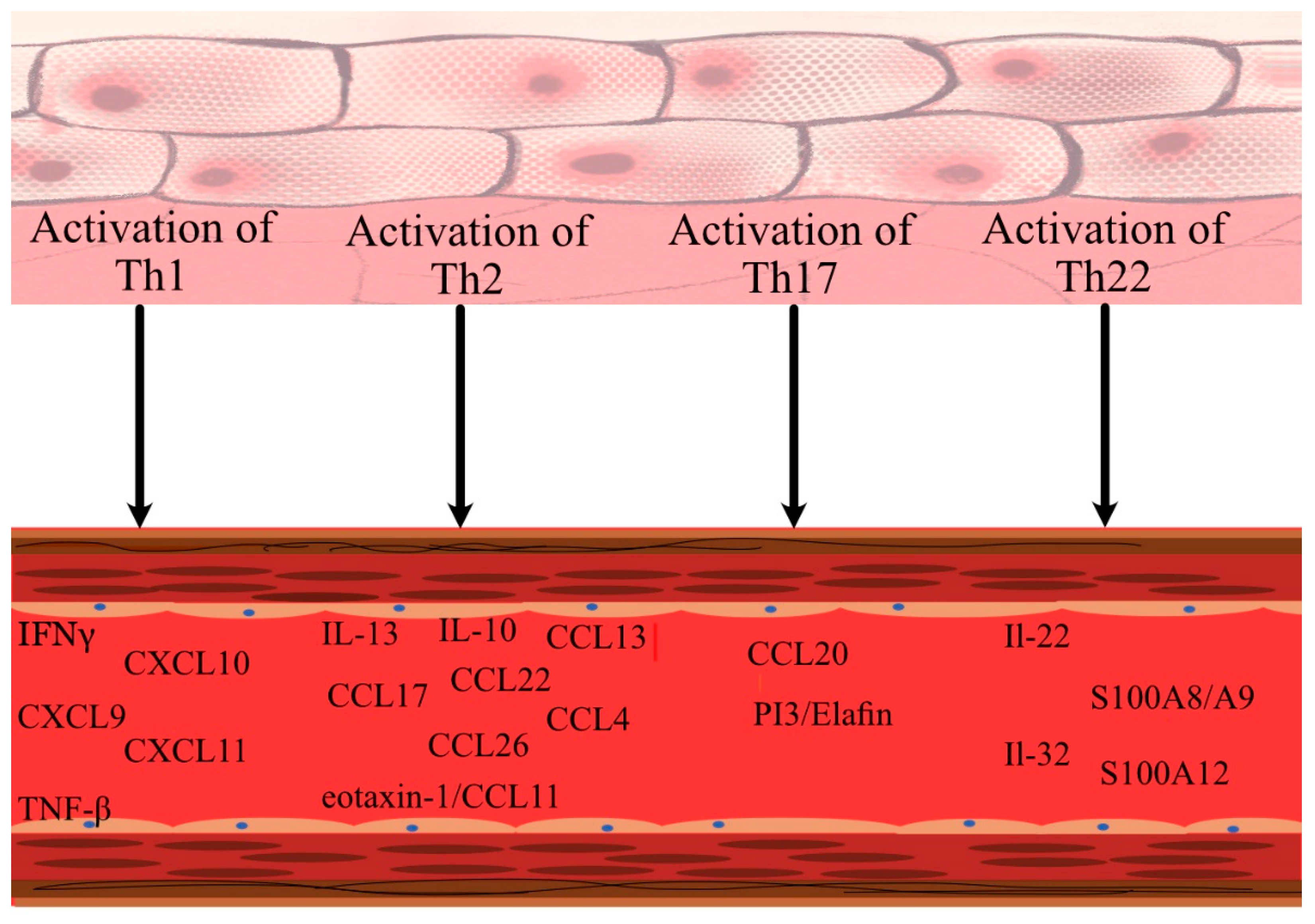 Nomenclature And Clinical Phenotypes Of Atopic Dermatitis 40 Off 2855