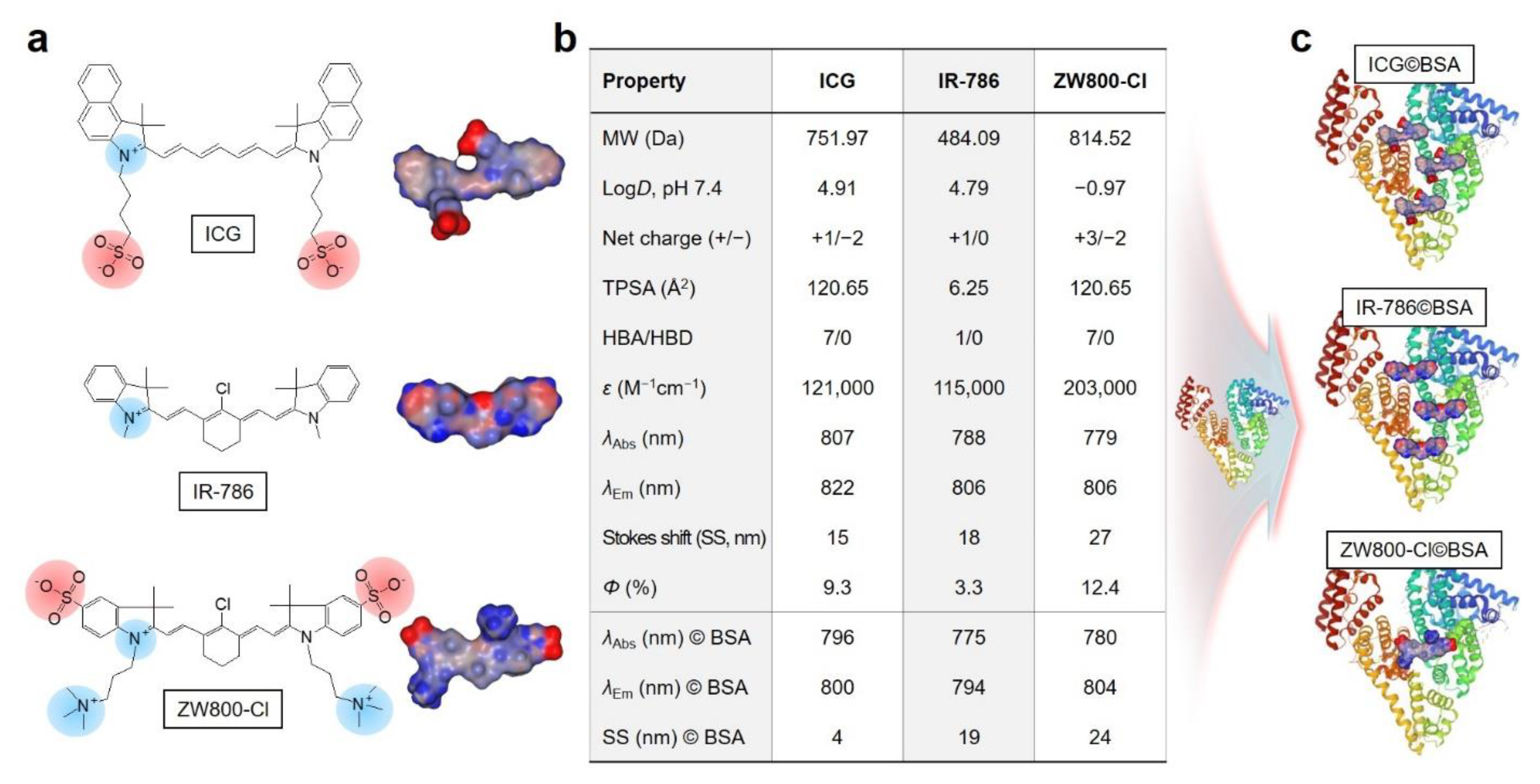Ijms 24 00862 g001 Ijms 24 00862 g001