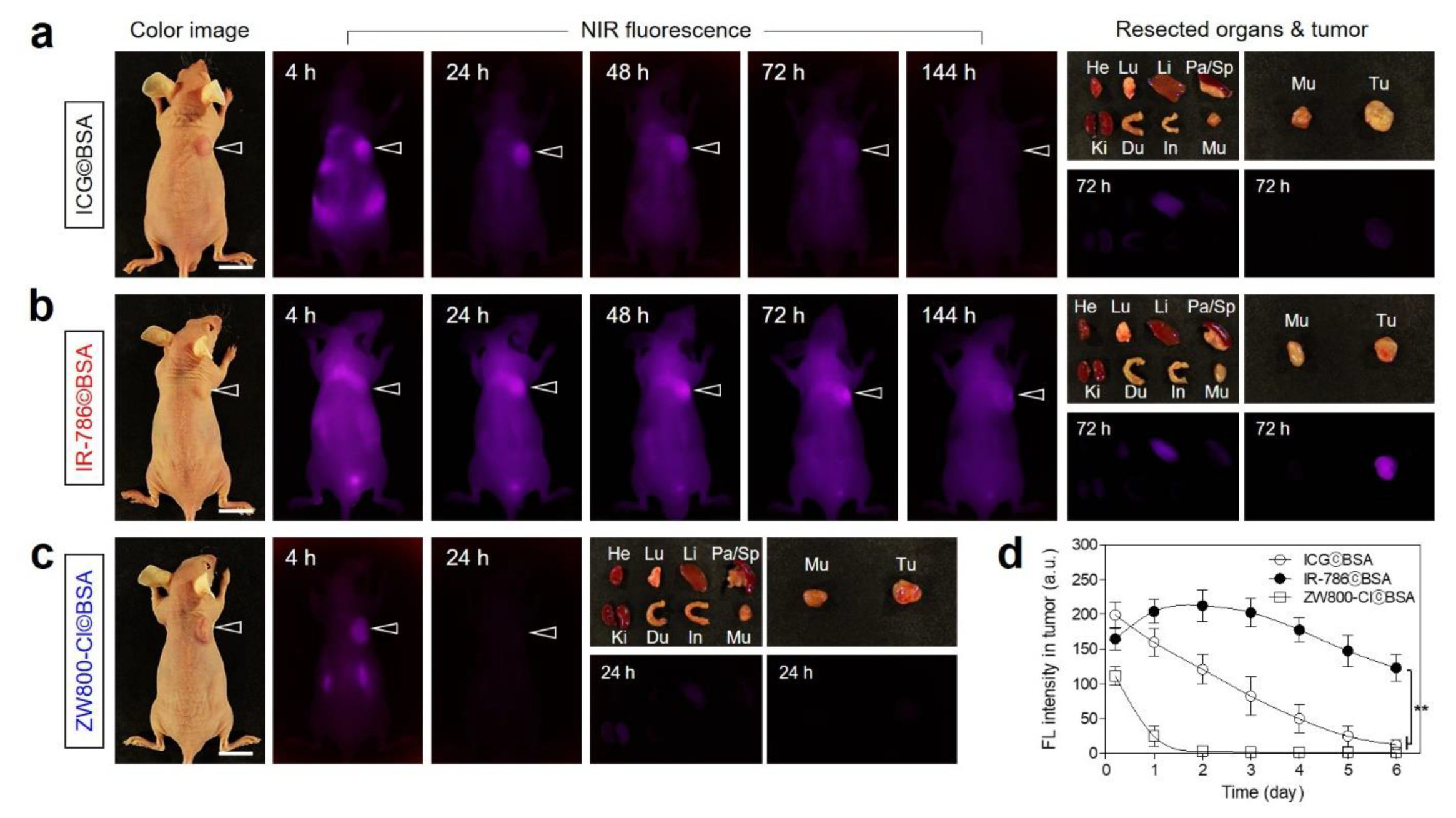 Ijms 24 00862 g005 Ijms 24 00862 g005