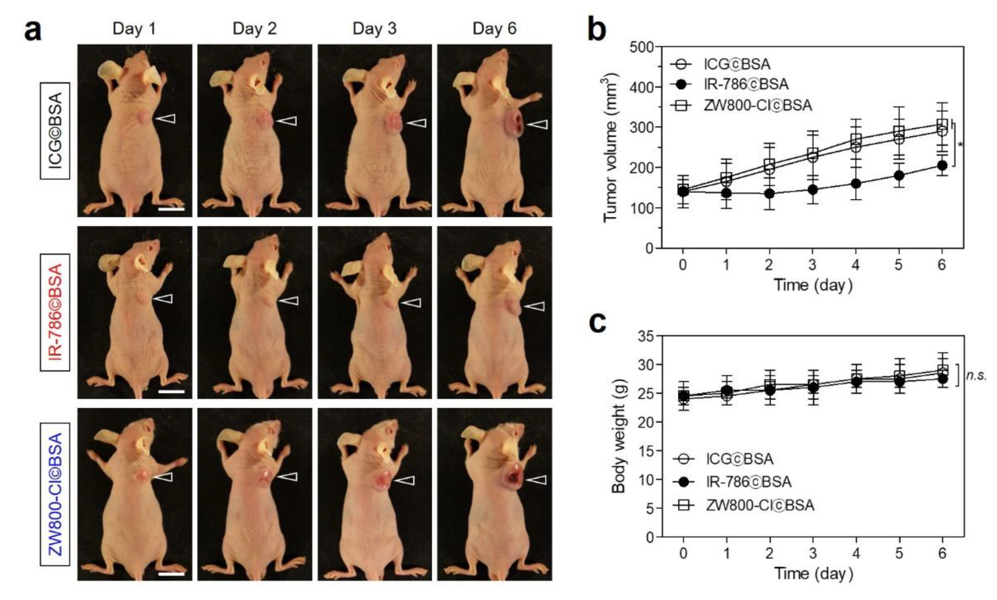 Ijms 24 00862 g006 Ijms 24 00862 g006