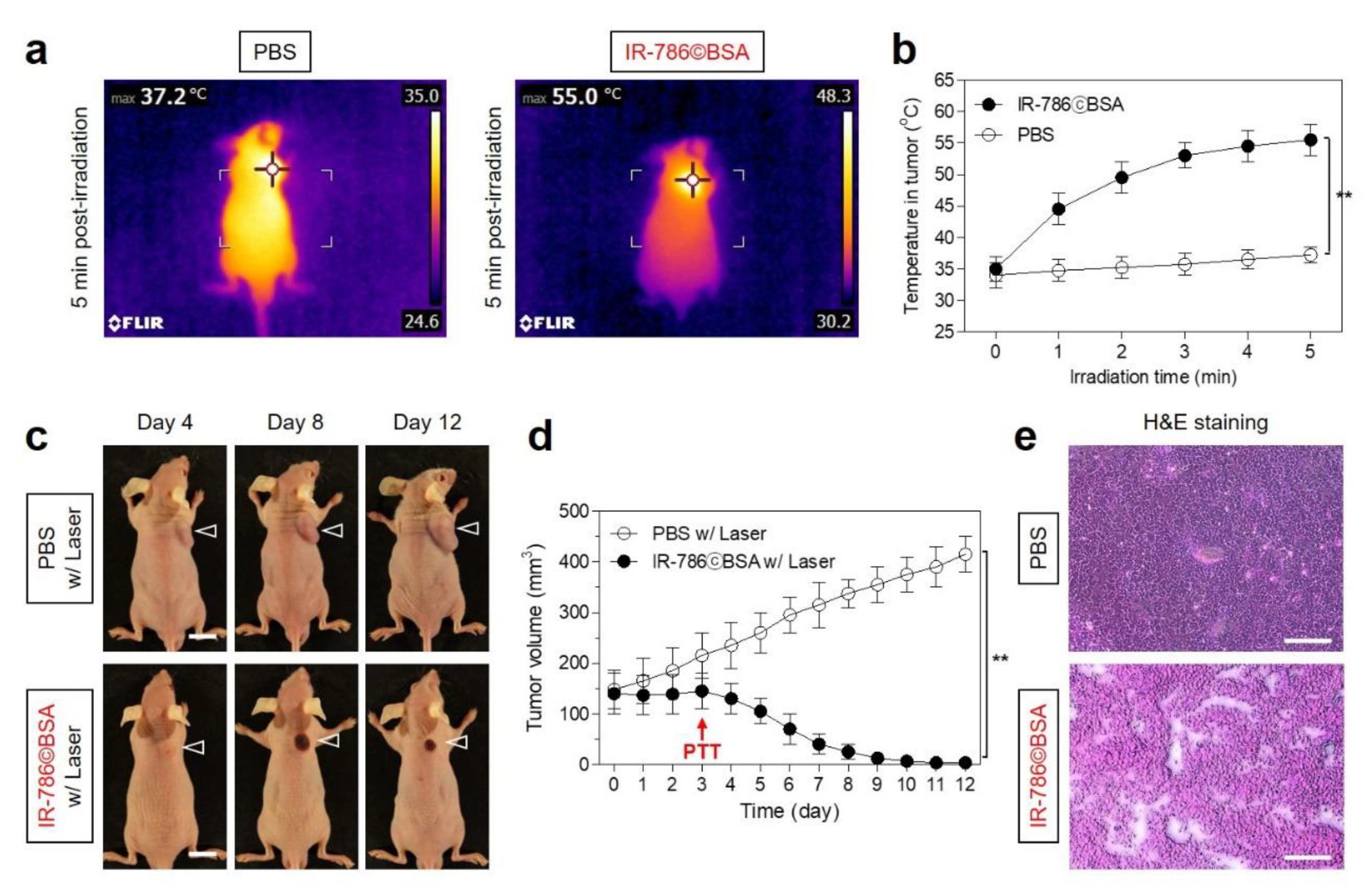 Ijms 24 00862 g007 Ijms 24 00862 g007