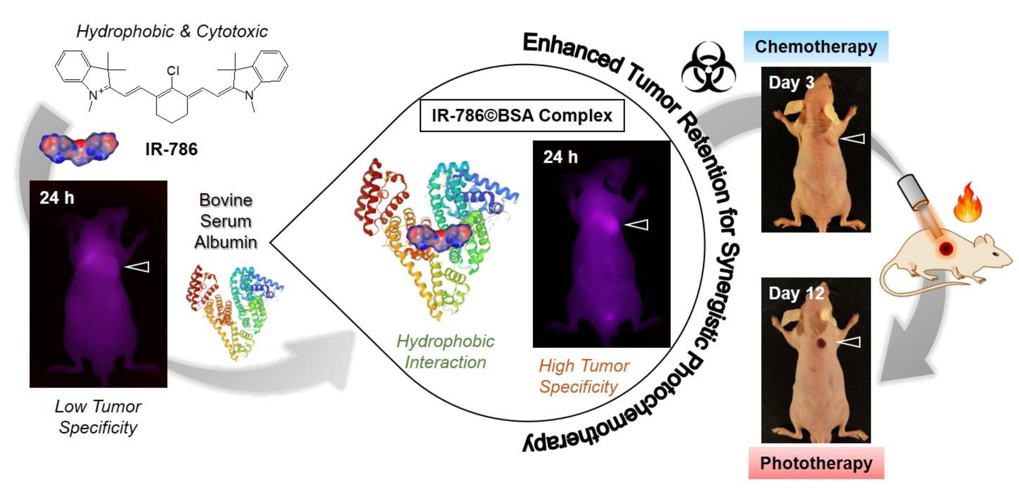 Ijms 24 00862 sch001 Ijms 24 00862 sch001
