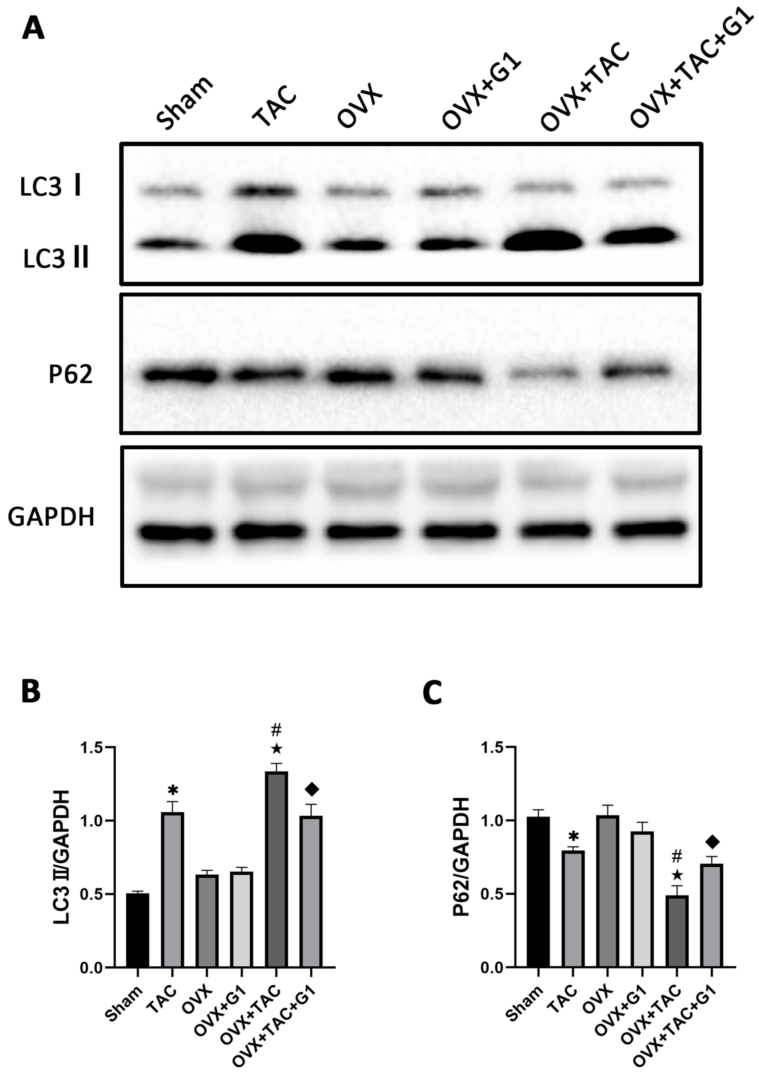Ijms 24 00904 g005 Ijms 24 00904 g005