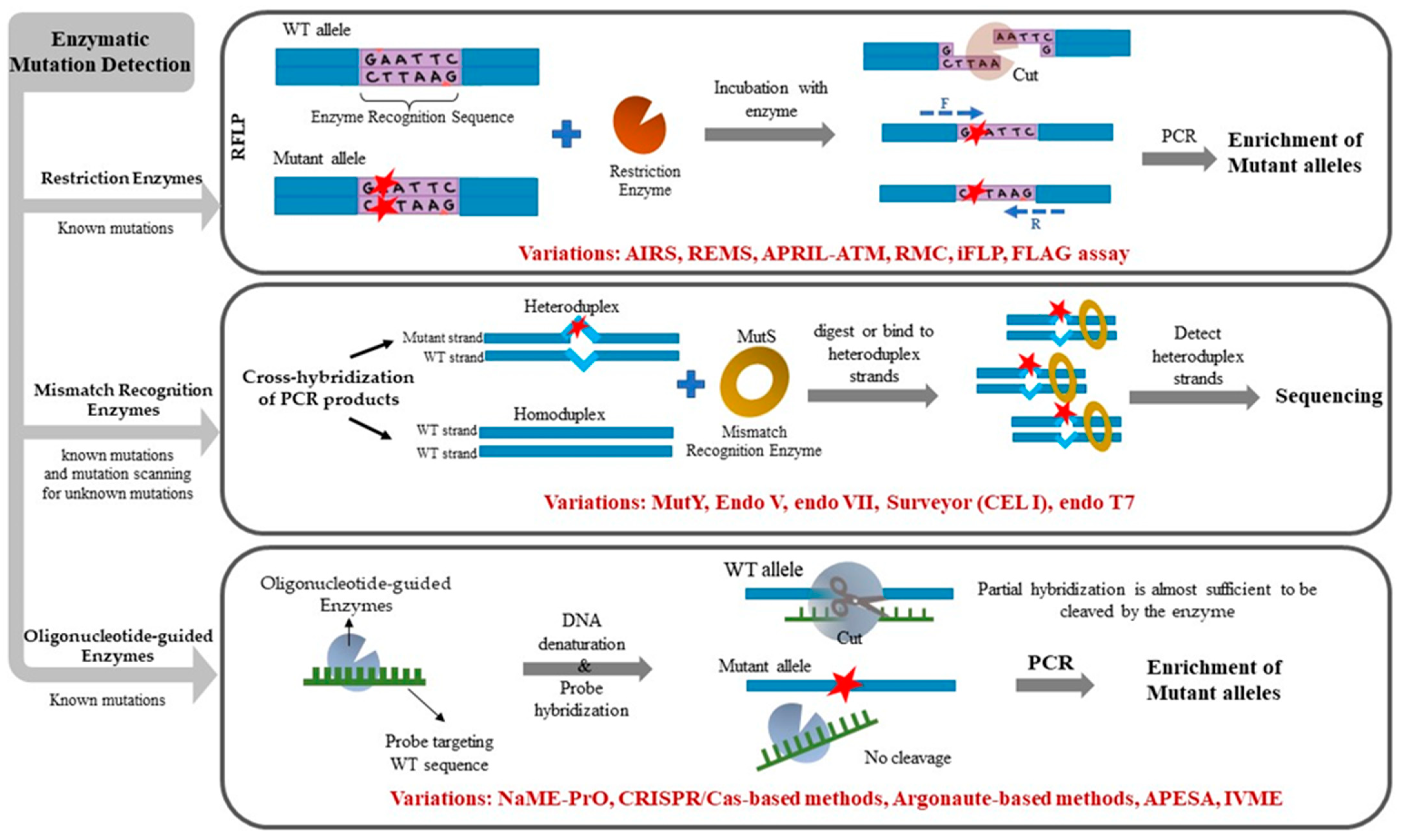 Ijms 24 00923 g001 Ijms 24 00923 g001