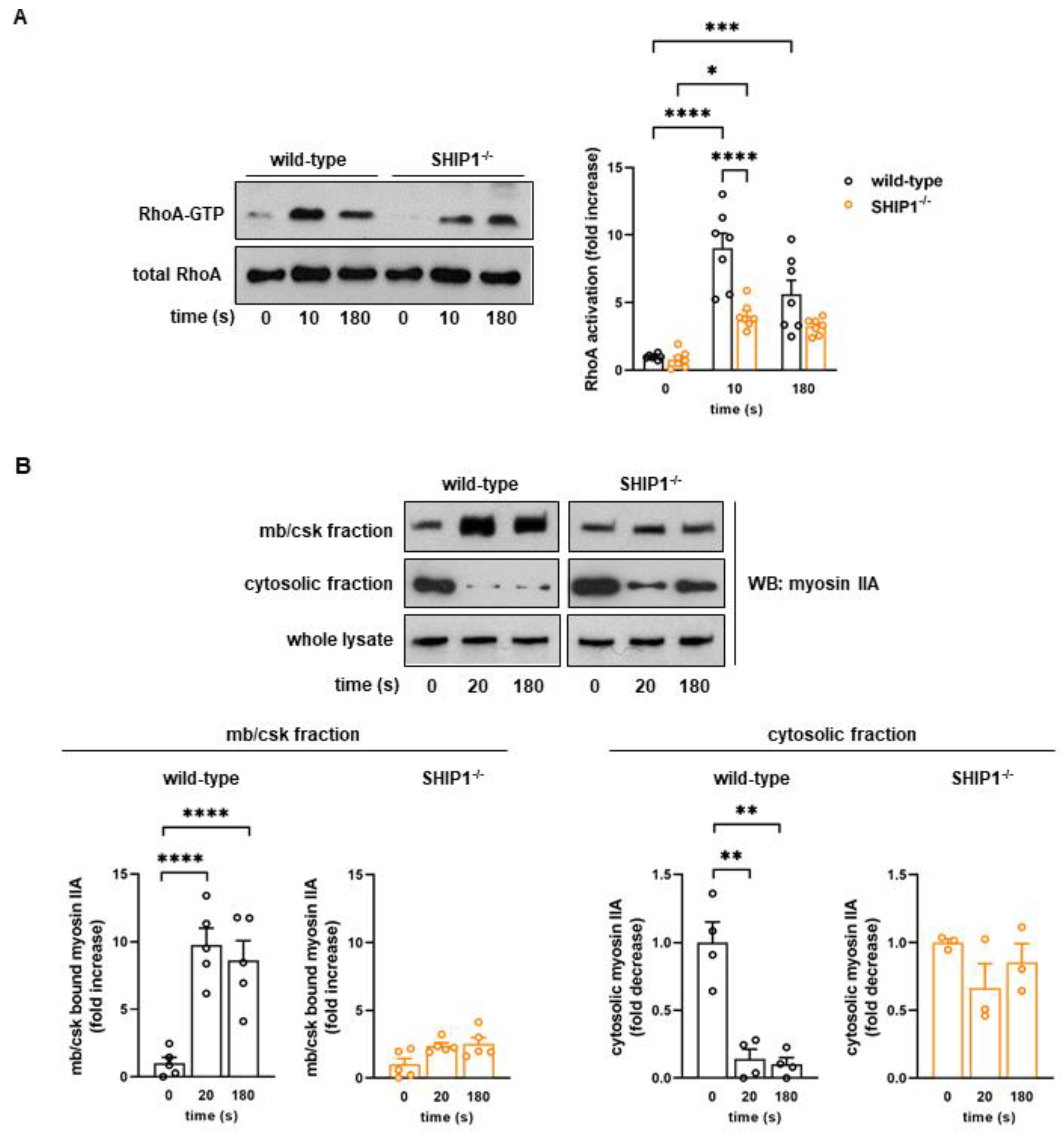 Ijms 24 00958 g002 Ijms 24 00958 g002