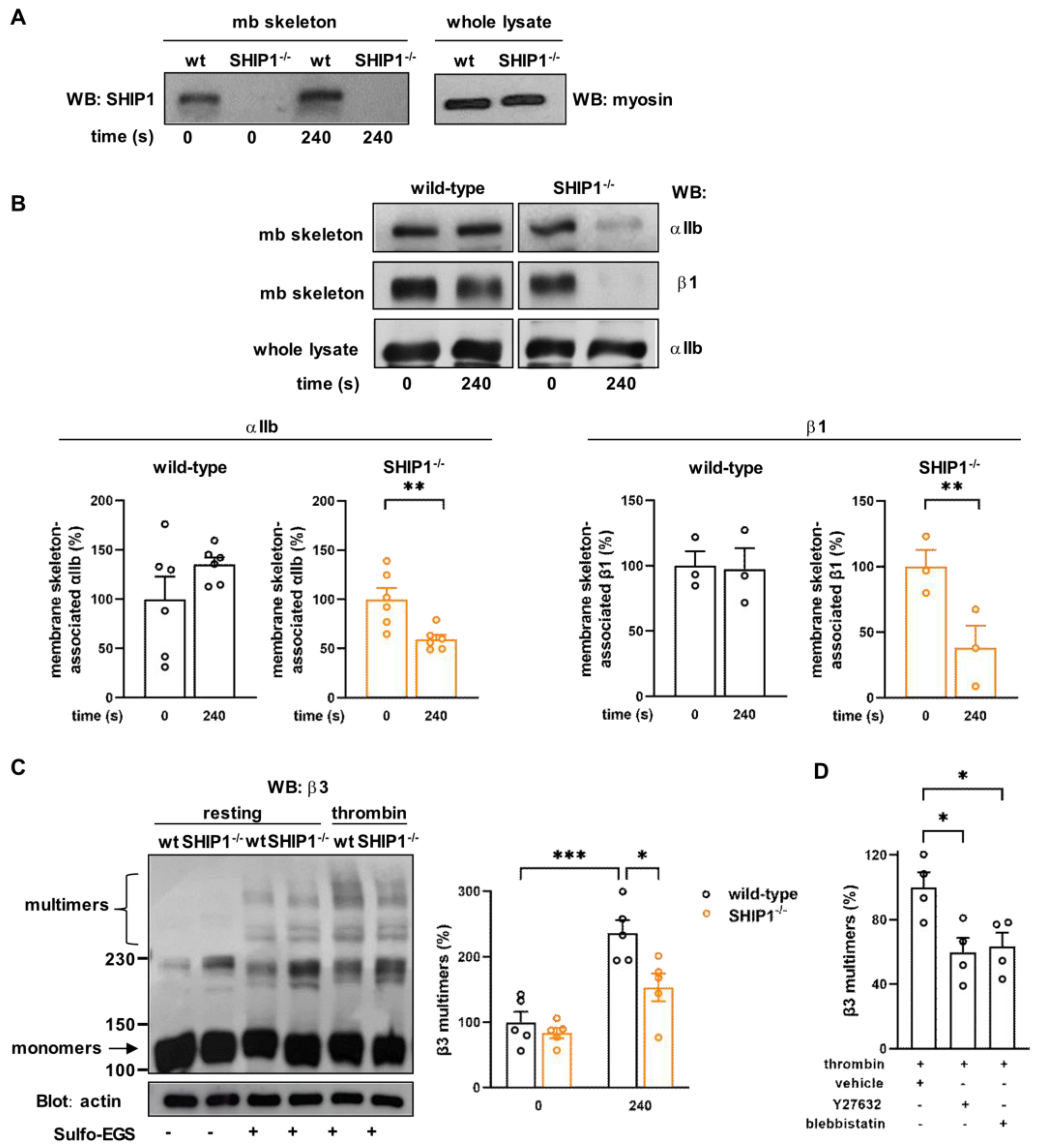 Ijms 24 00958 g004 Ijms 24 00958 g004