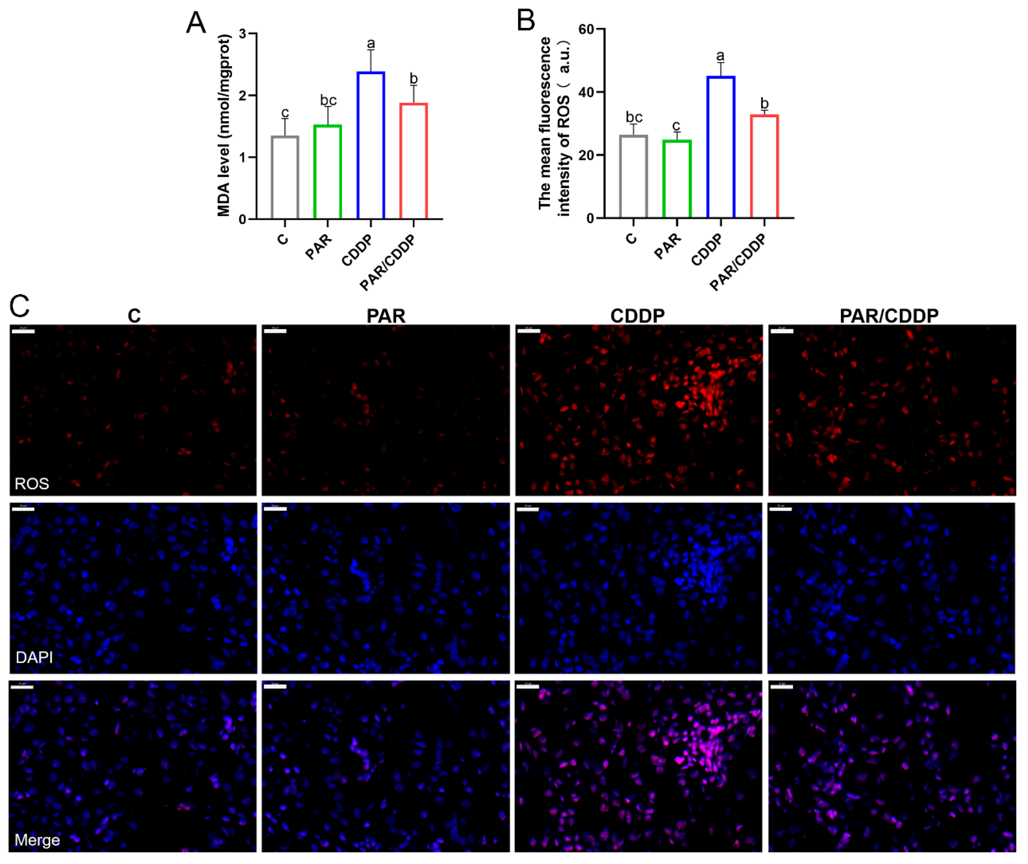 Ijms 24 00969 g002 Ijms 24 00969 g002