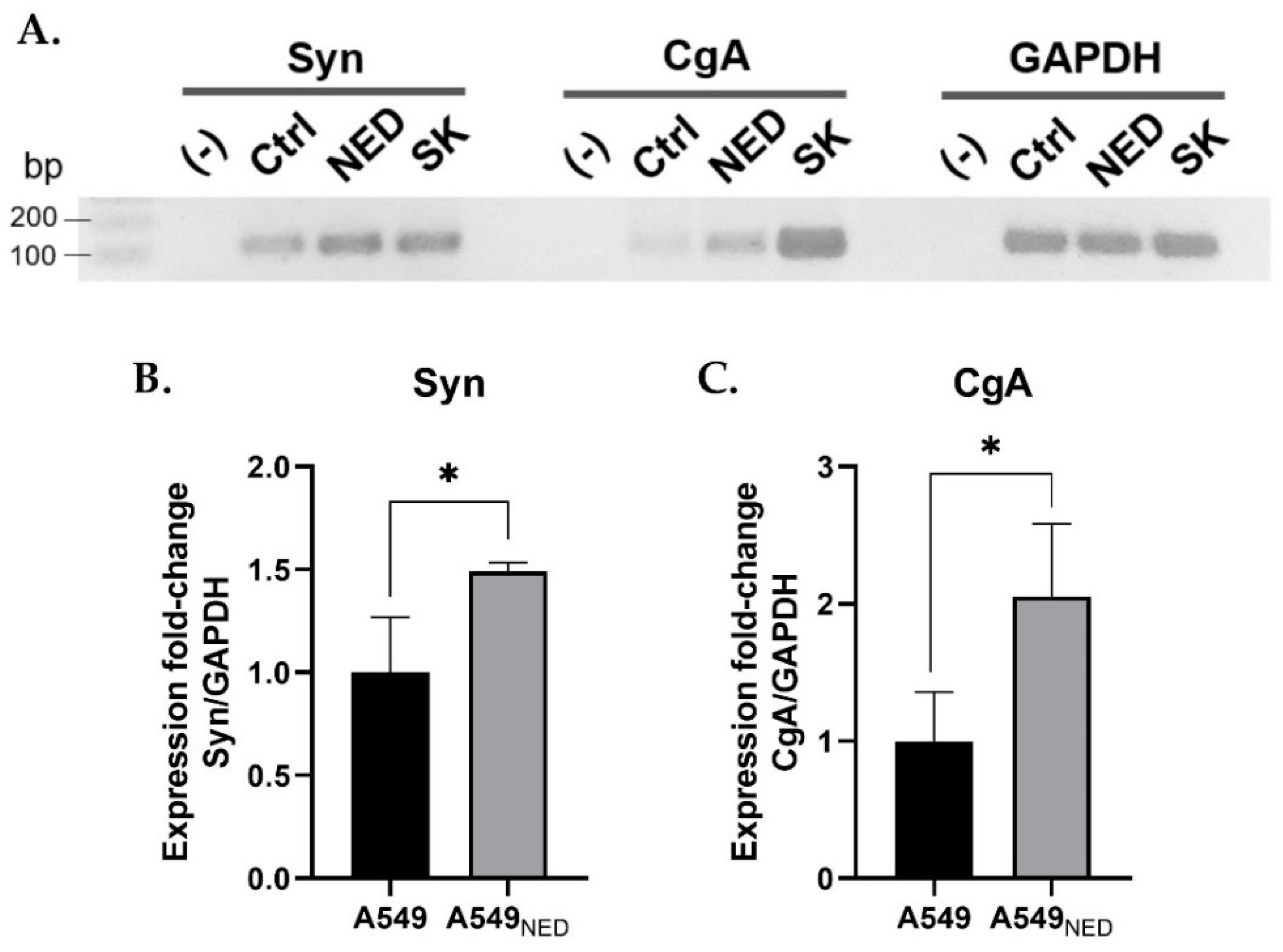 Ijms 24 00990 g002 Ijms 24 00990 g002