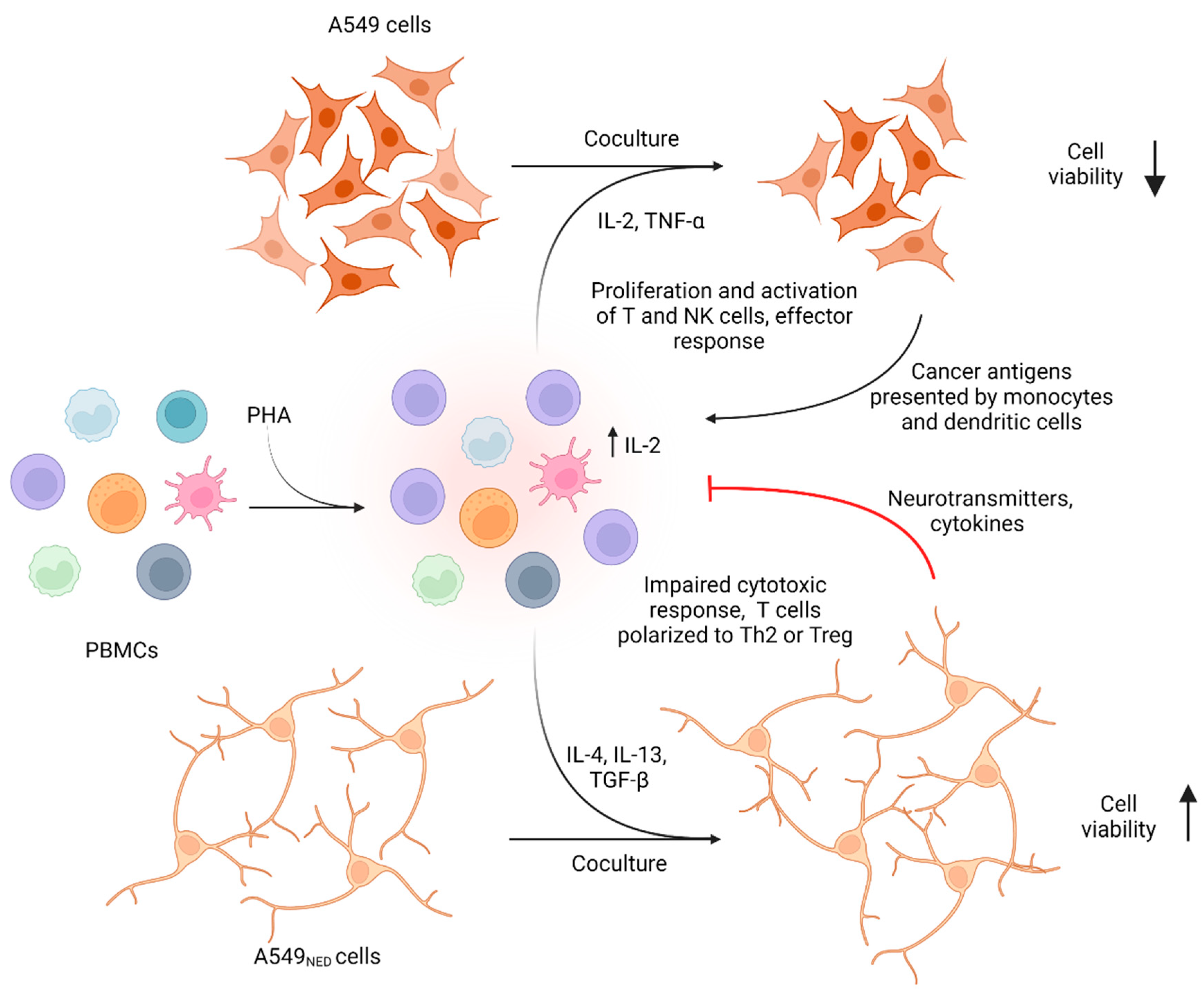 Ijms 24 00990 g007 Ijms 24 00990 g007
