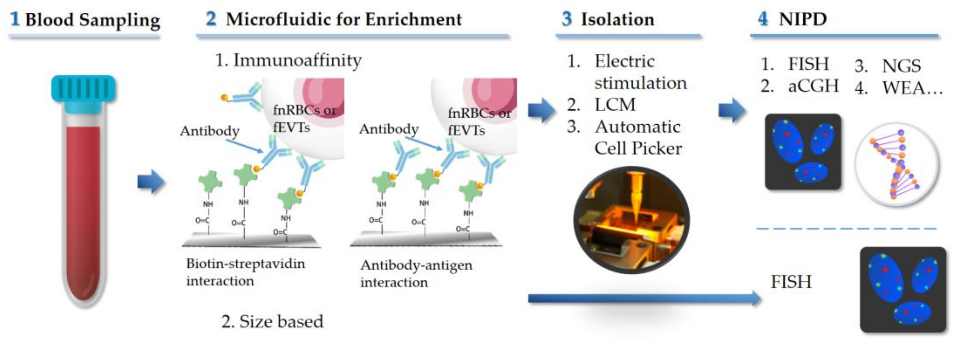 https://www.mdpi.com/ijms/ijms-24-00991/article_deploy/html/images/ijms-24-00991-g001.png