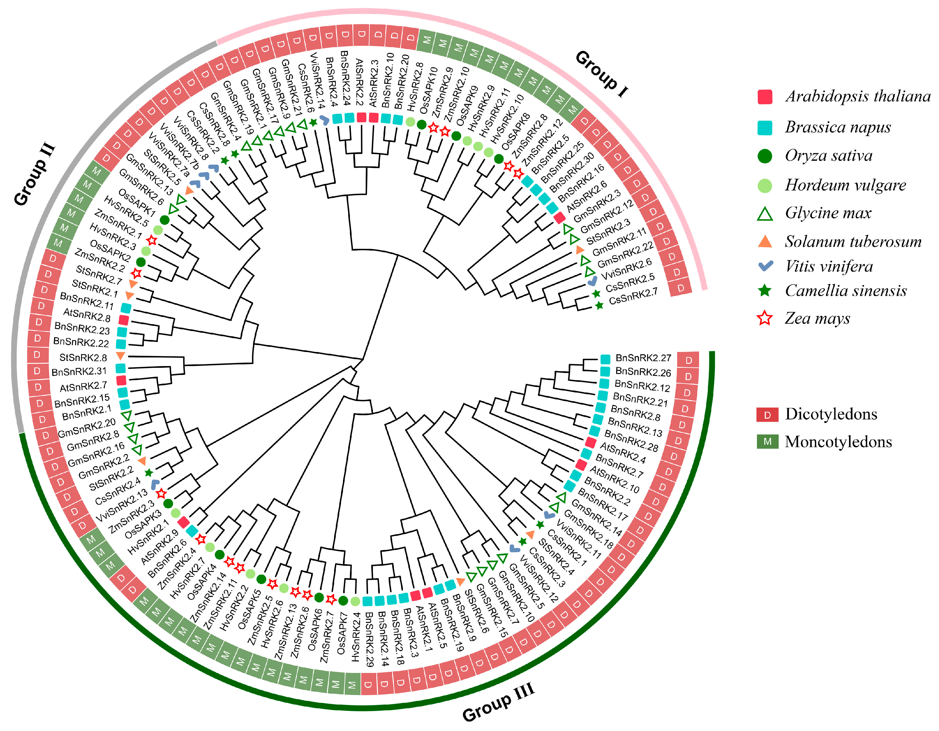 Ijms 24 01000 g002 Ijms 24 01000 g002