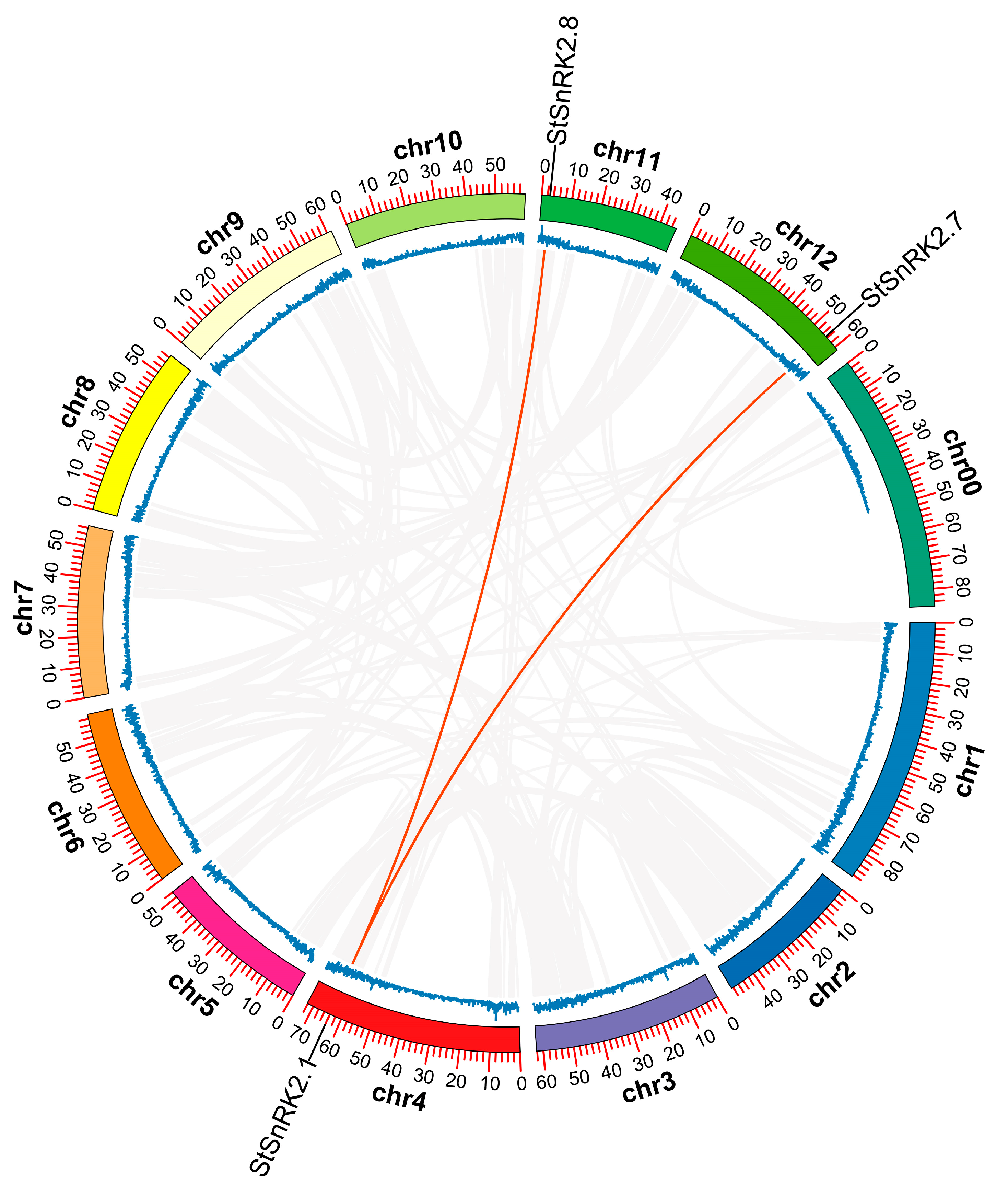 Ijms 24 01000 g003 Ijms 24 01000 g003