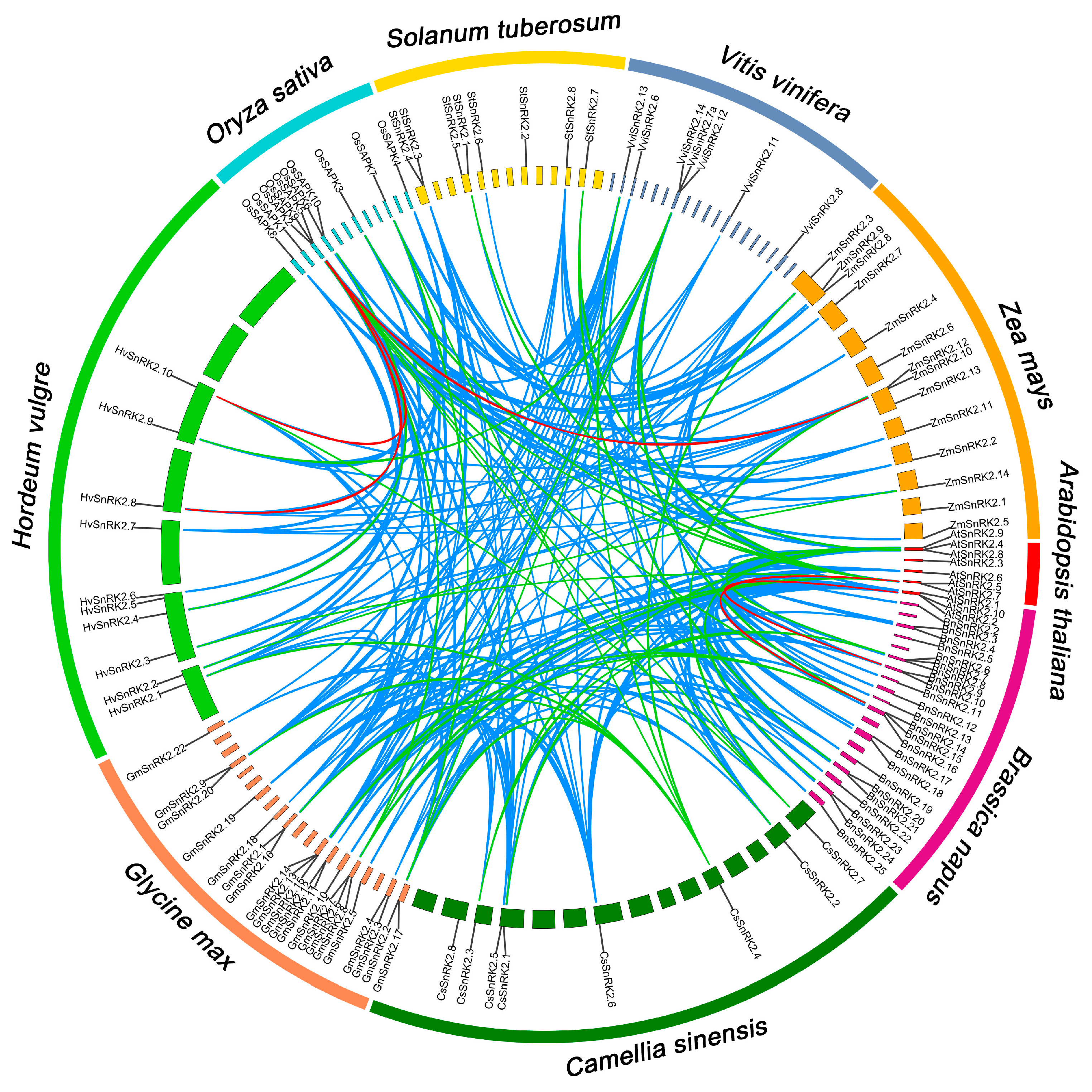 Ijms 24 01000 g004 Ijms 24 01000 g004