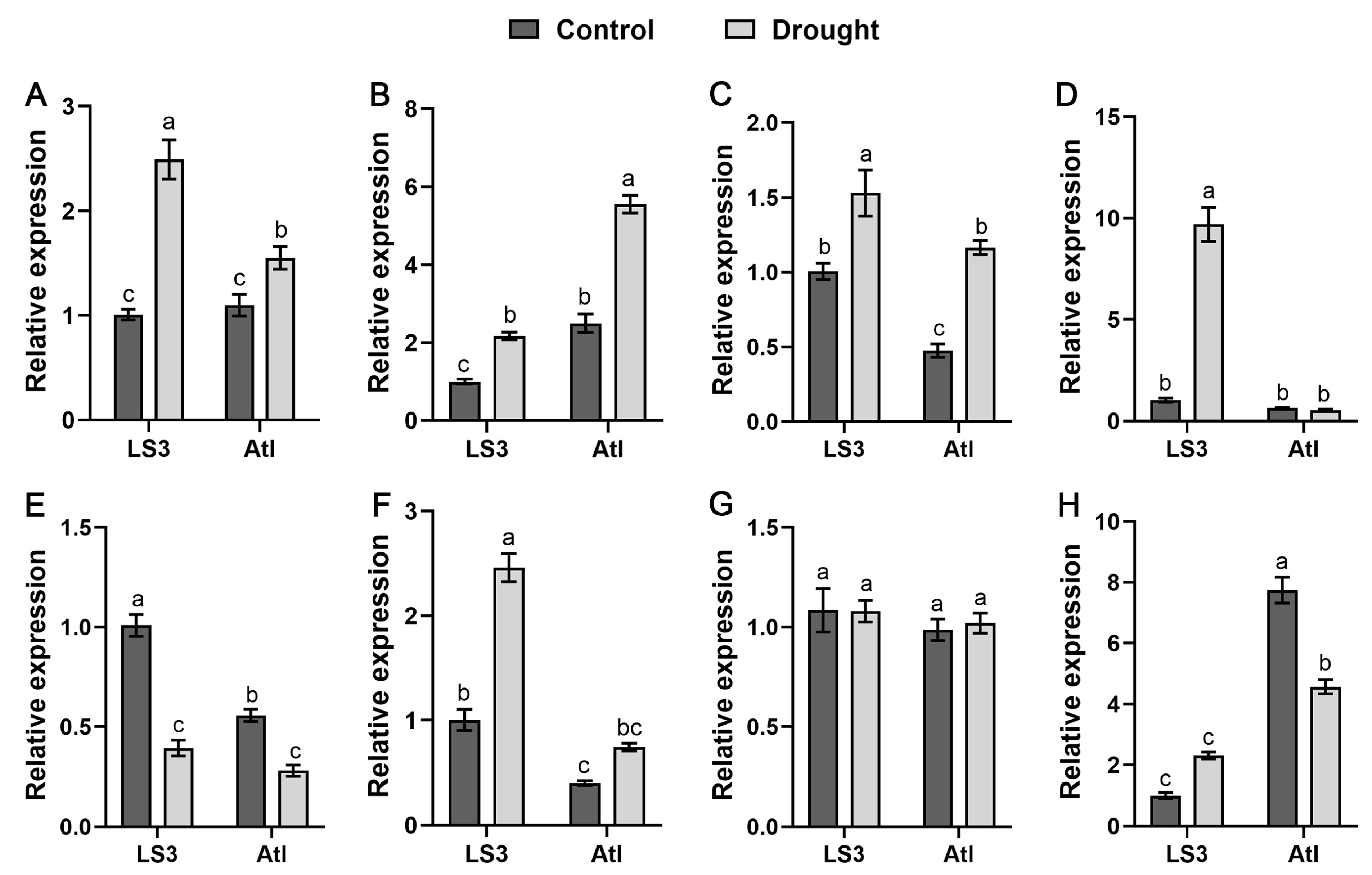 Ijms 24 01000 g011 Ijms 24 01000 g011