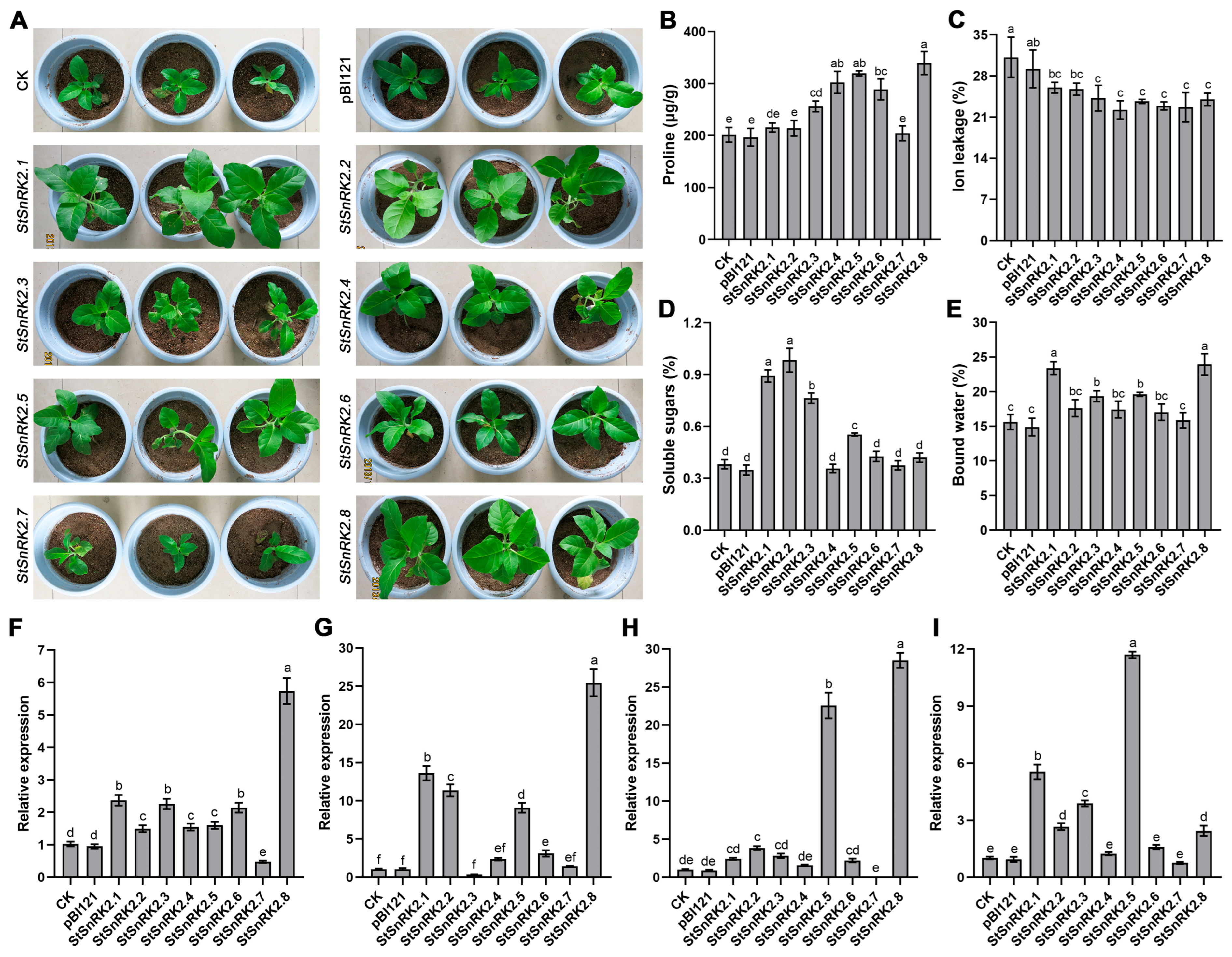 Ijms 24 01000 g012 Ijms 24 01000 g012