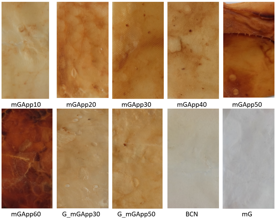 Ijms 24 01005 g001 Ijms 24 01005 g001