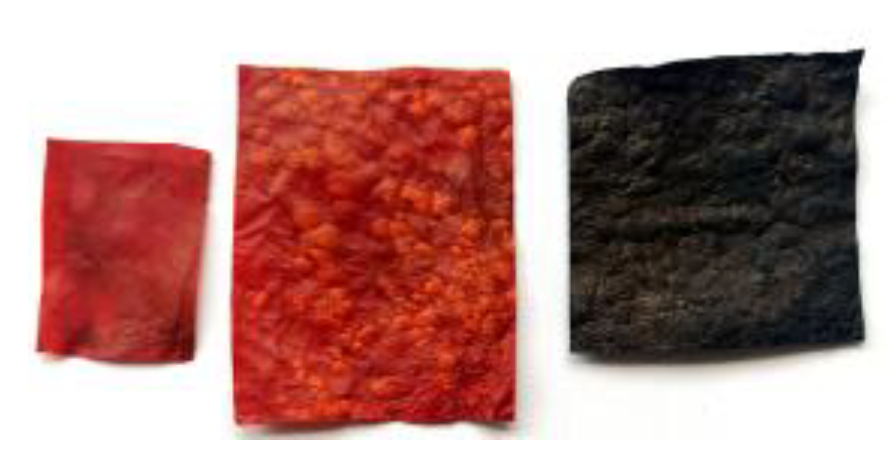 Ijms 24 01005 g006 Ijms 24 01005 g006