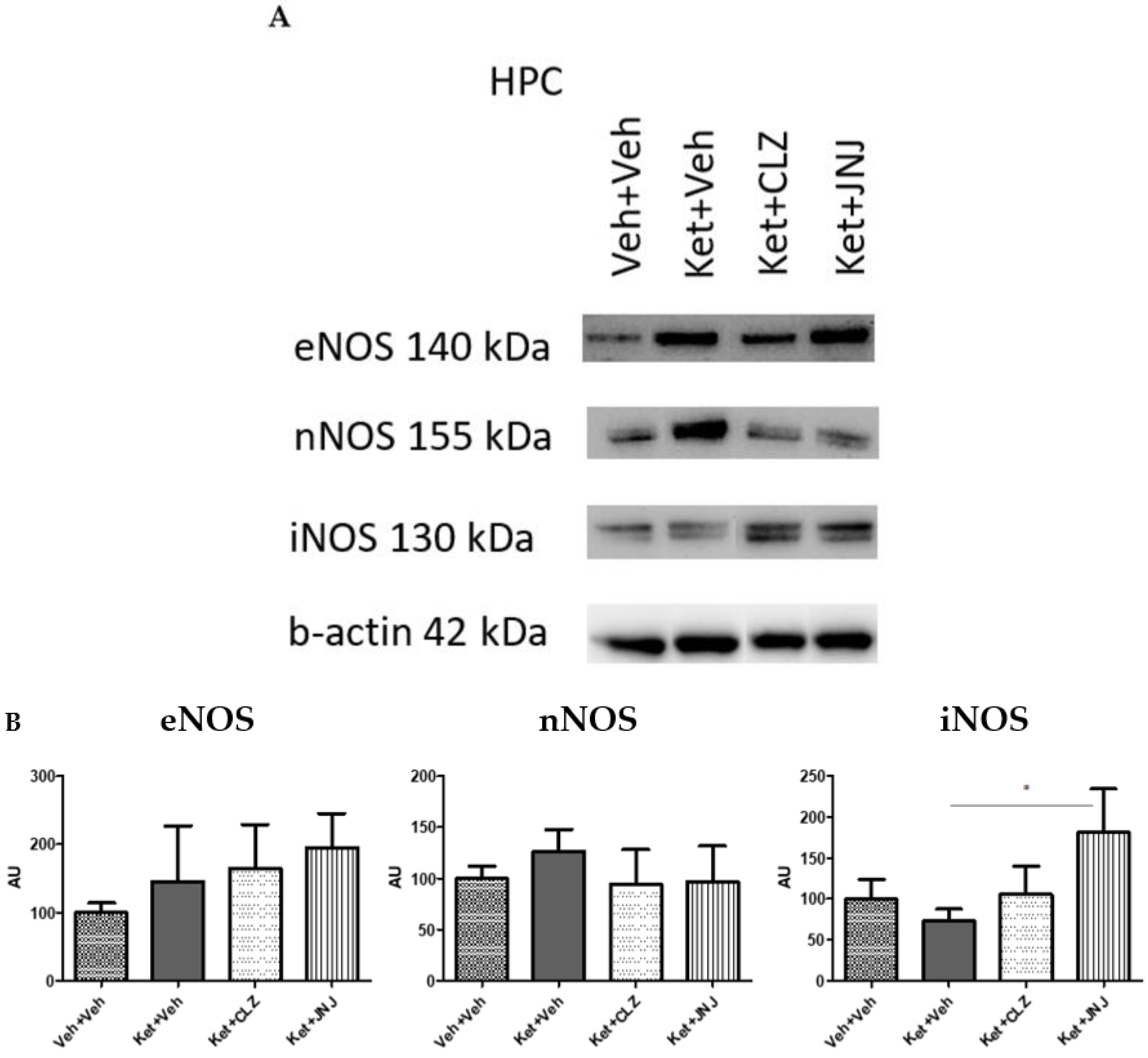 Ijms 24 01022 g002 Ijms 24 01022 g002