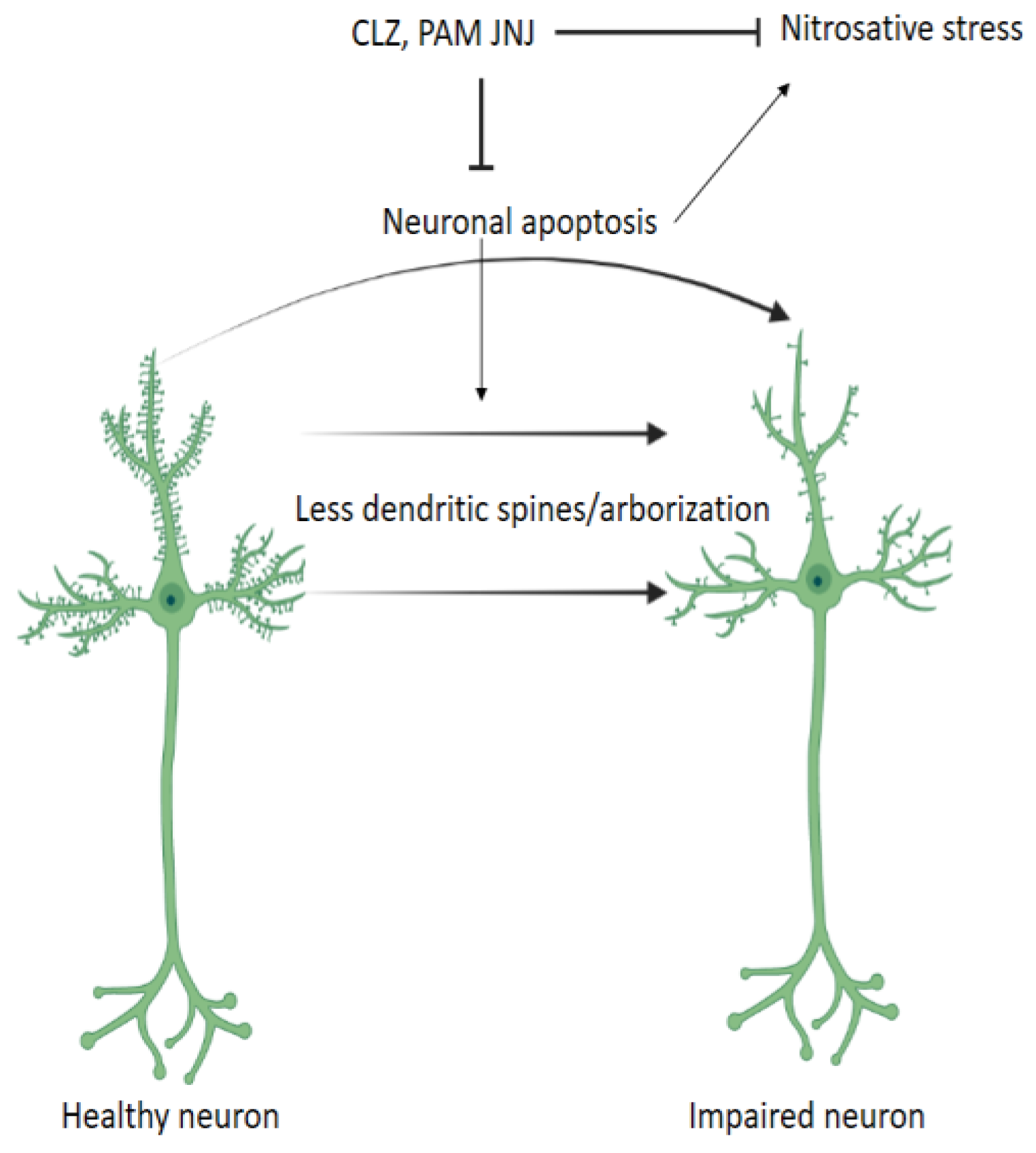 Ijms 24 01022 g003 Ijms 24 01022 g003