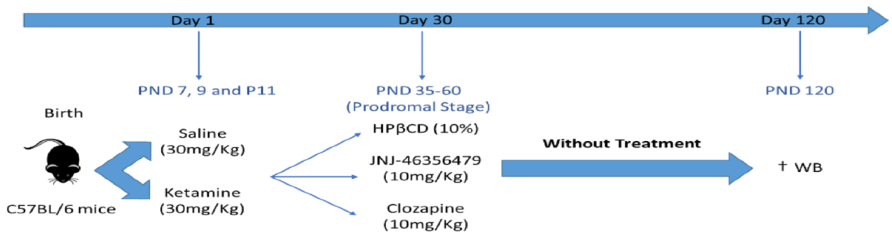 Ijms 24 01022 g004 Ijms 24 01022 g004