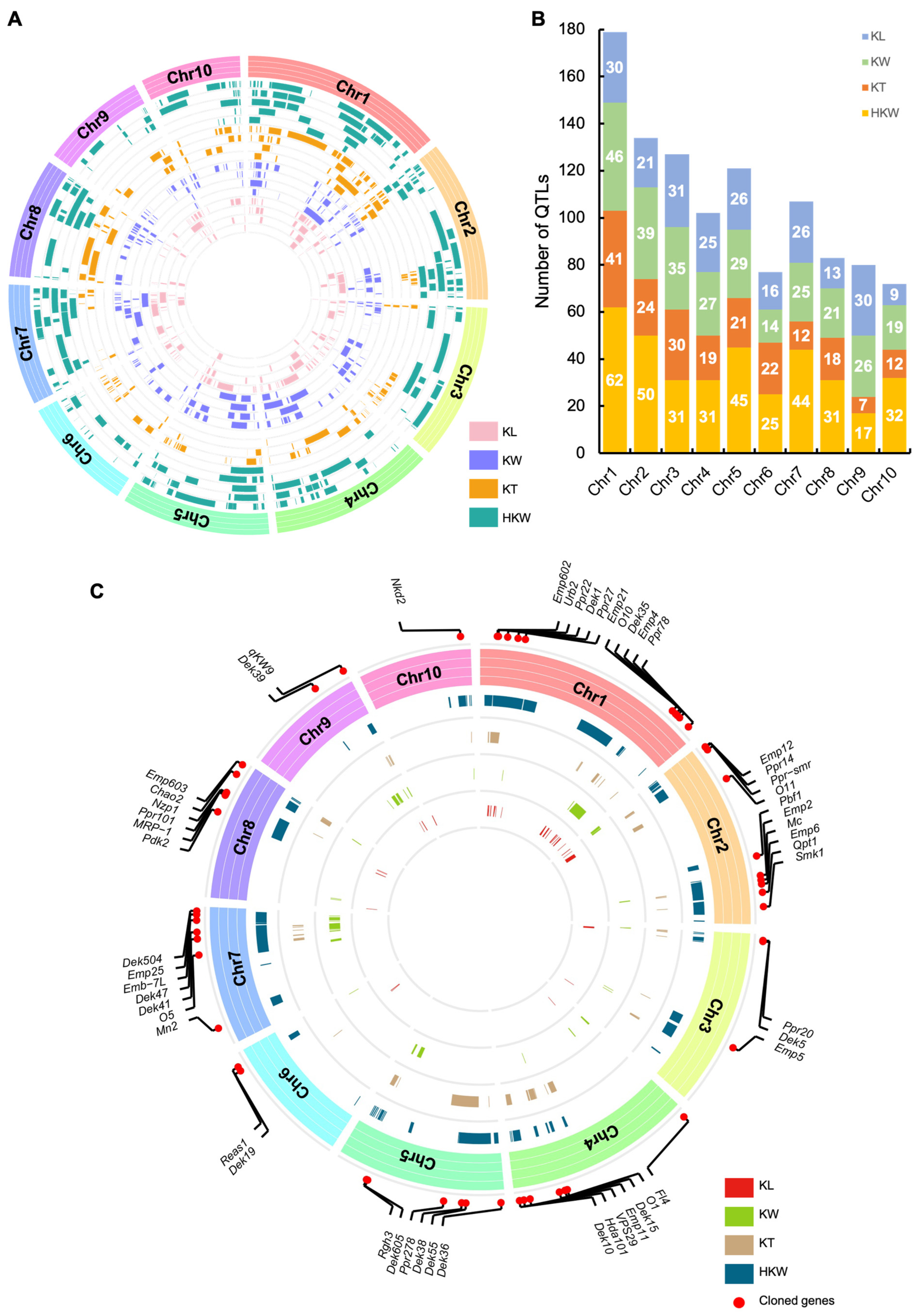 Ijms 24 01025 g005 Ijms 24 01025 g005