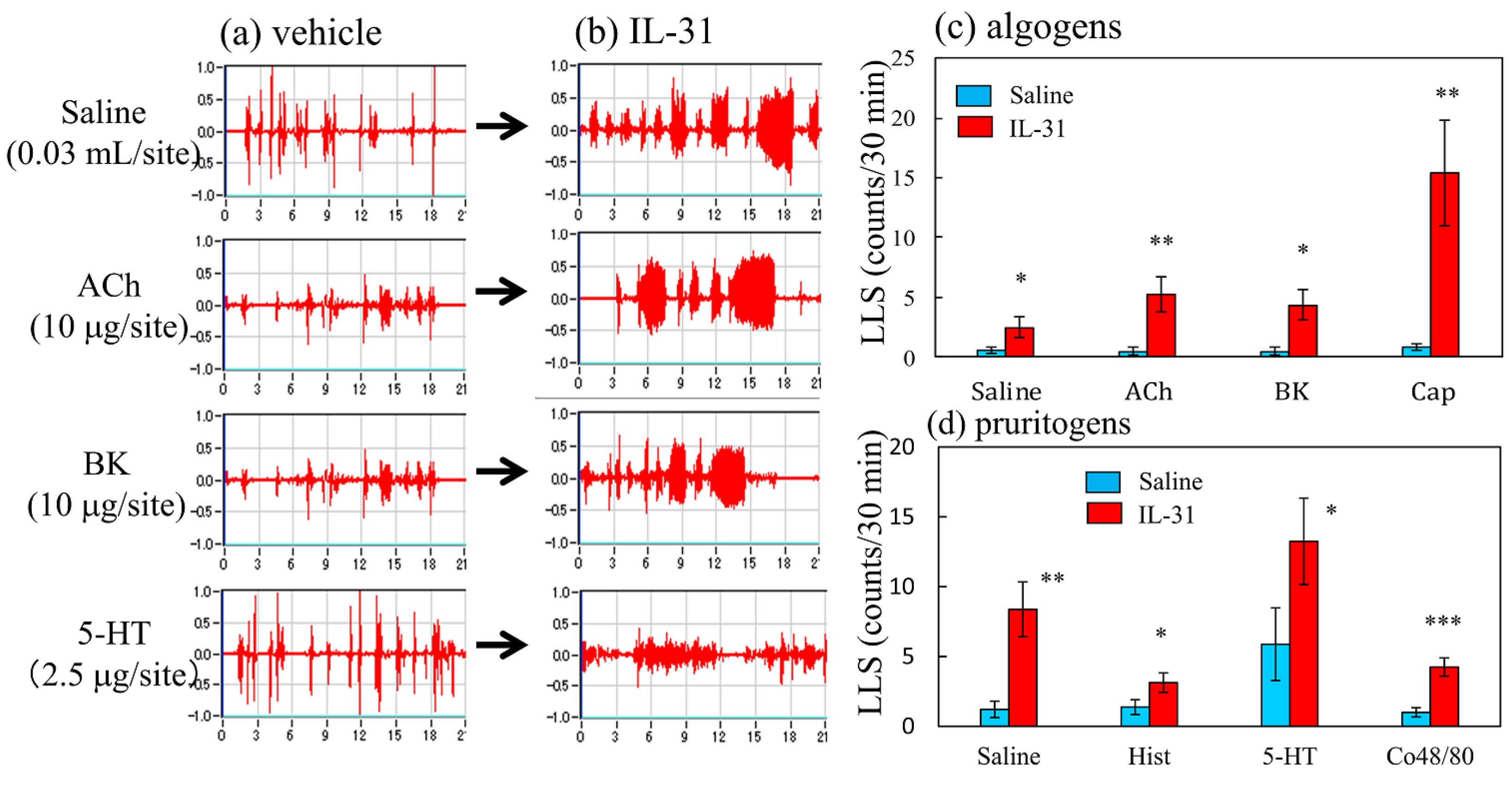 Ijms 24 01047 g006 Ijms 24 01047 g006