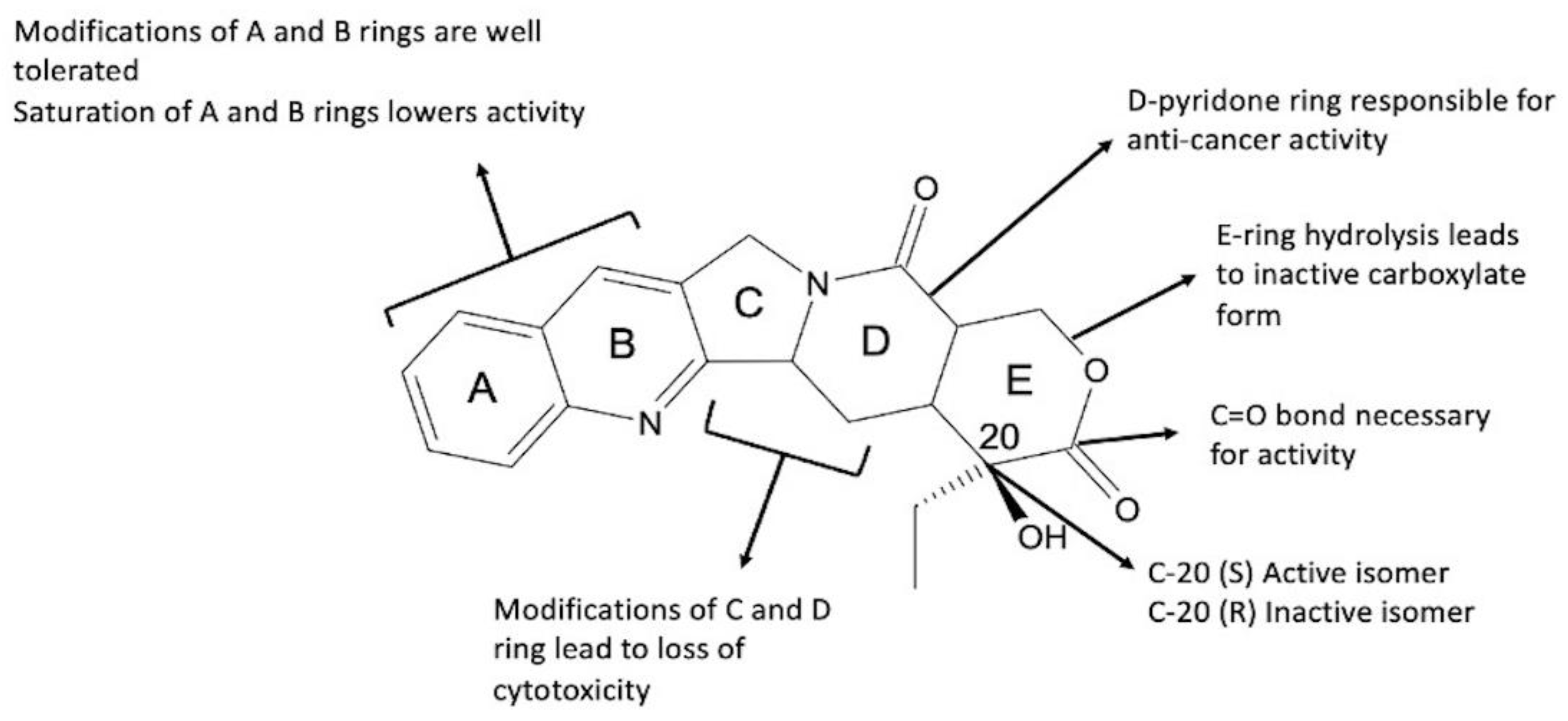 Ijms 24 01053 g002 Ijms 24 01053 g002