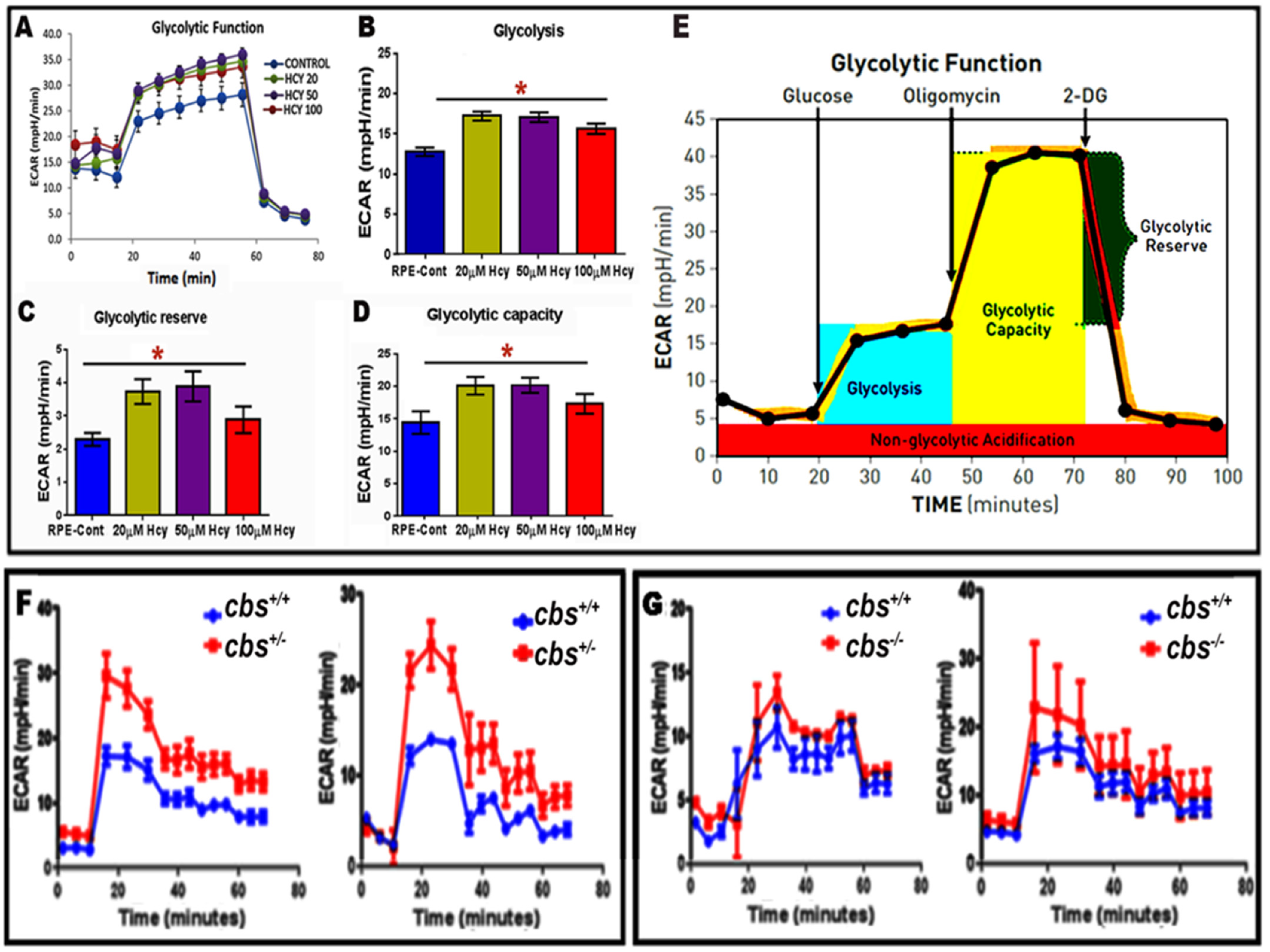 Ijms 24 01071 g005 Ijms 24 01071 g005