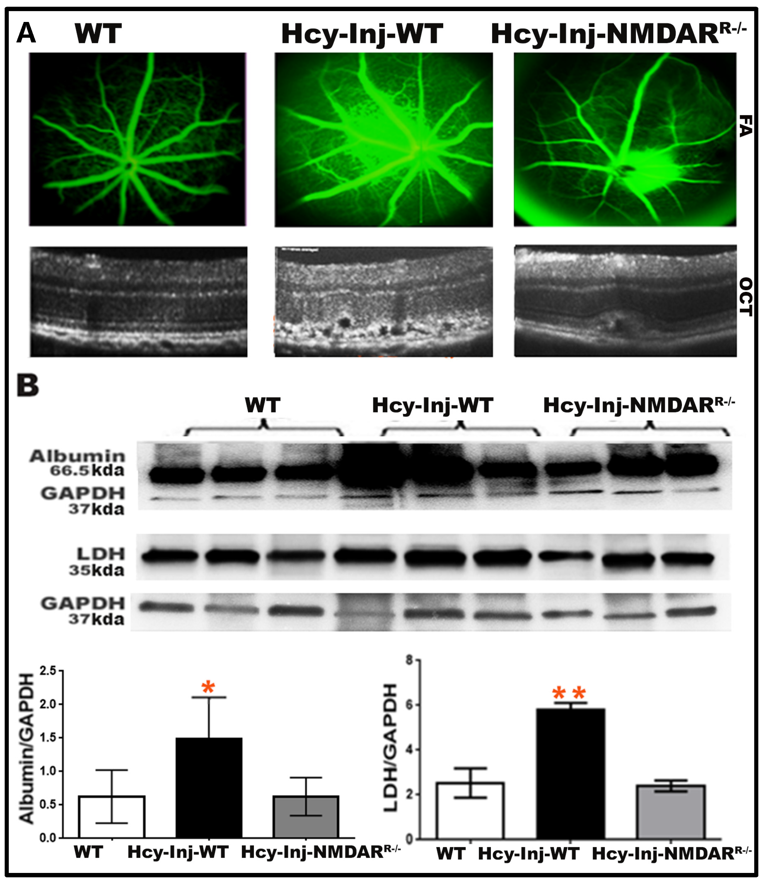 Ijms 24 01071 g006 Ijms 24 01071 g006