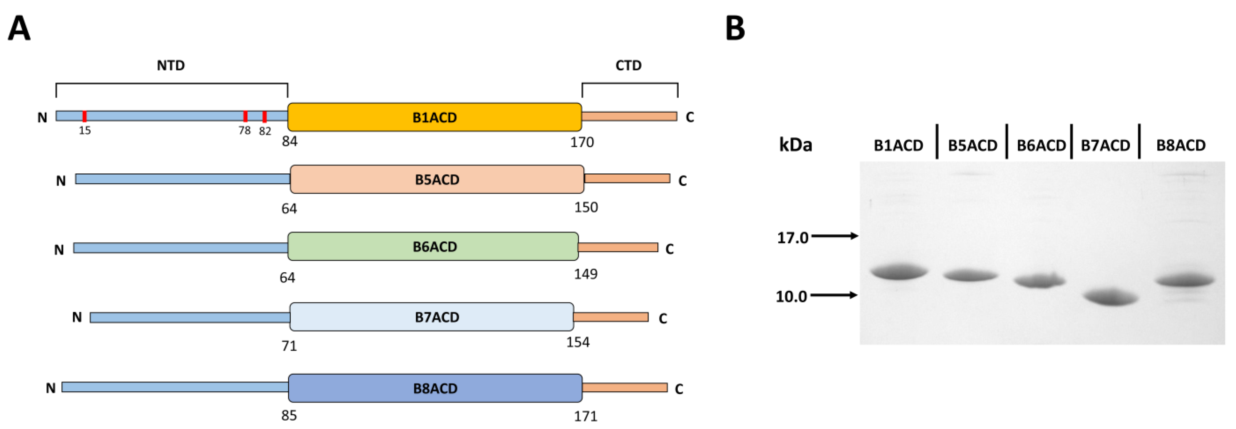 Ijms 24 01085 g001 Ijms 24 01085 g001