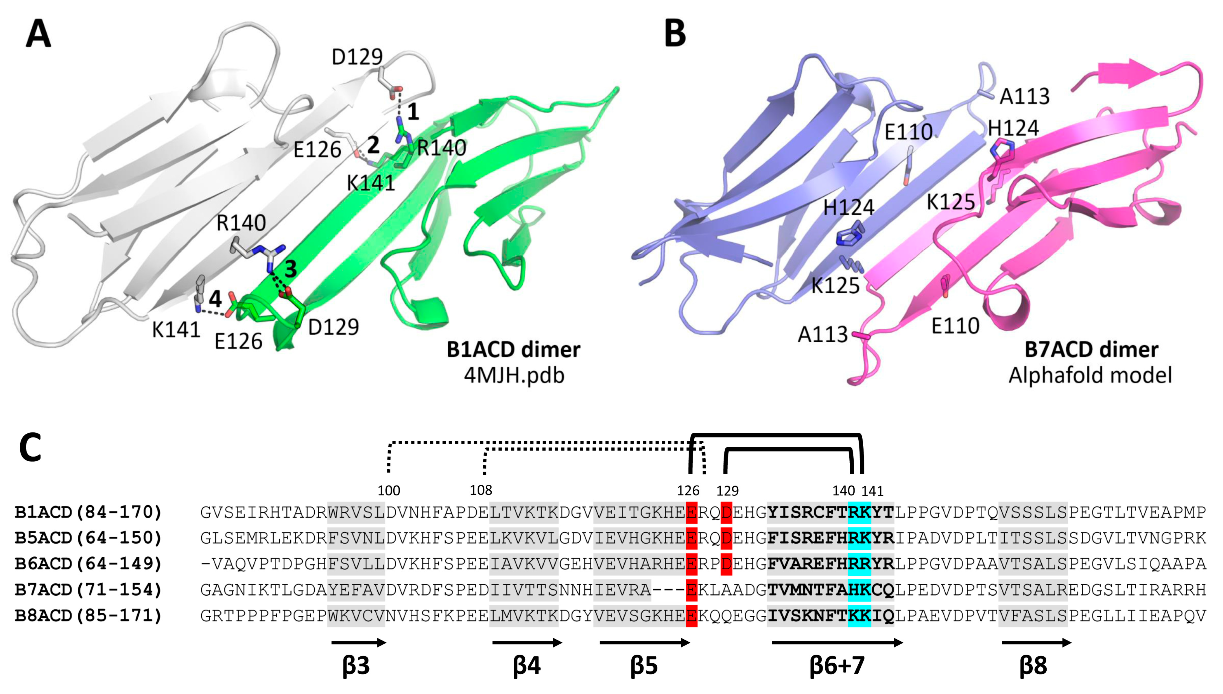 Ijms 24 01085 g009 Ijms 24 01085 g009