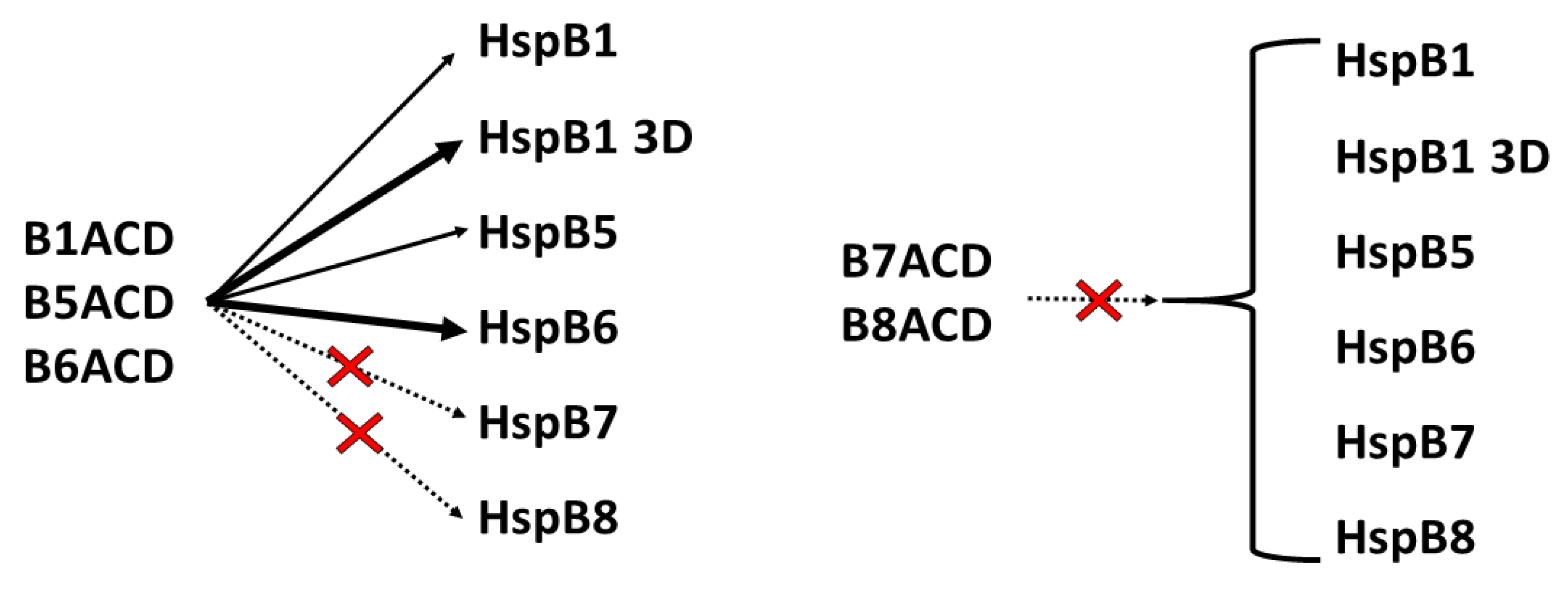 Ijms 24 01085 g010 Ijms 24 01085 g010