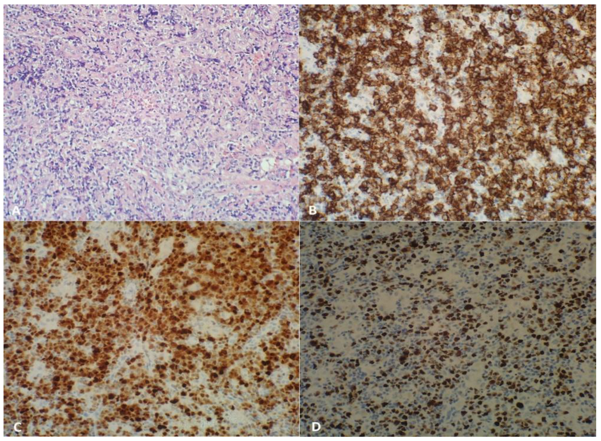 Ijms 24 01099 g004 Ijms 24 01099 g004