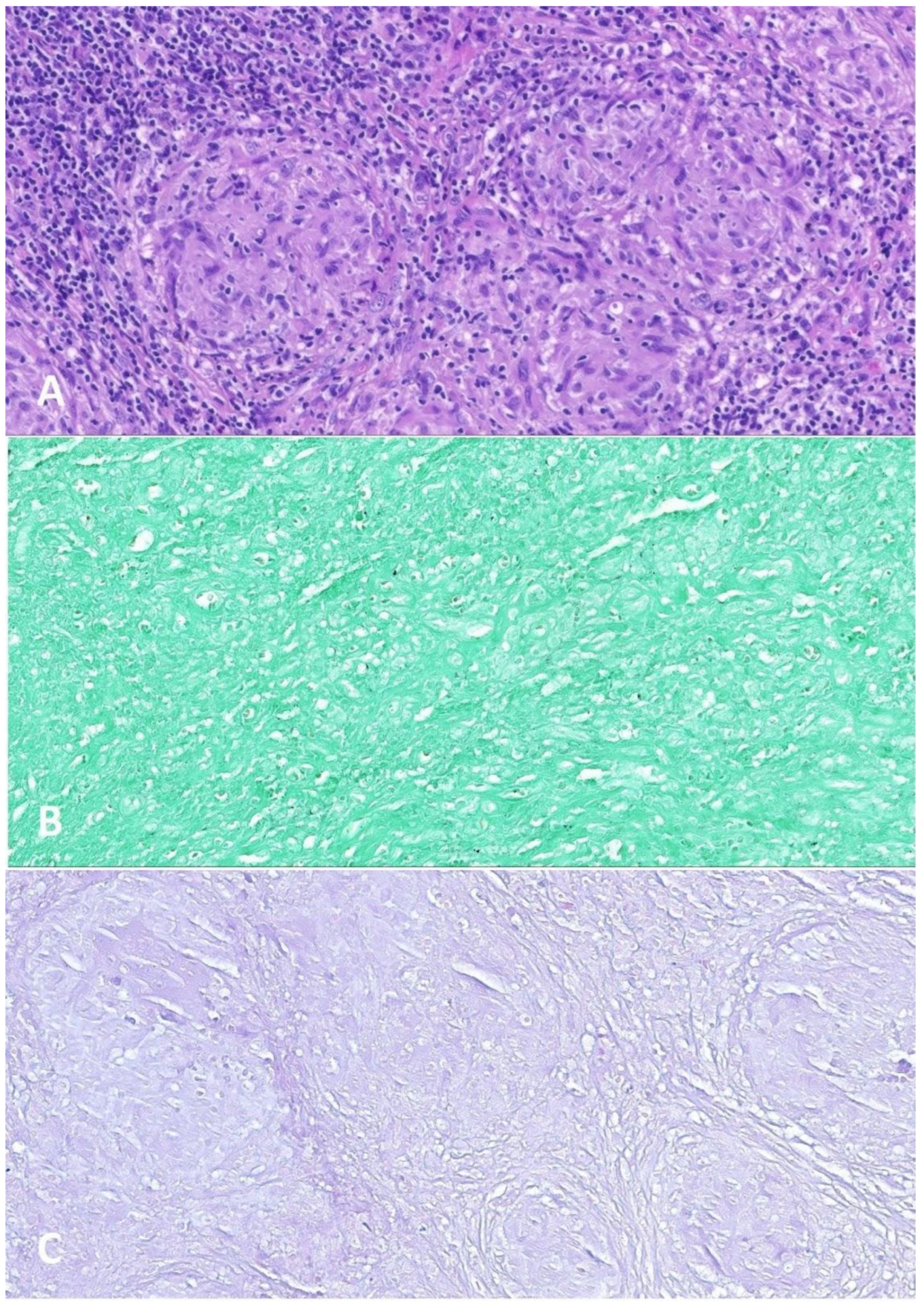 Ijms 24 01099 g005 Ijms 24 01099 g005