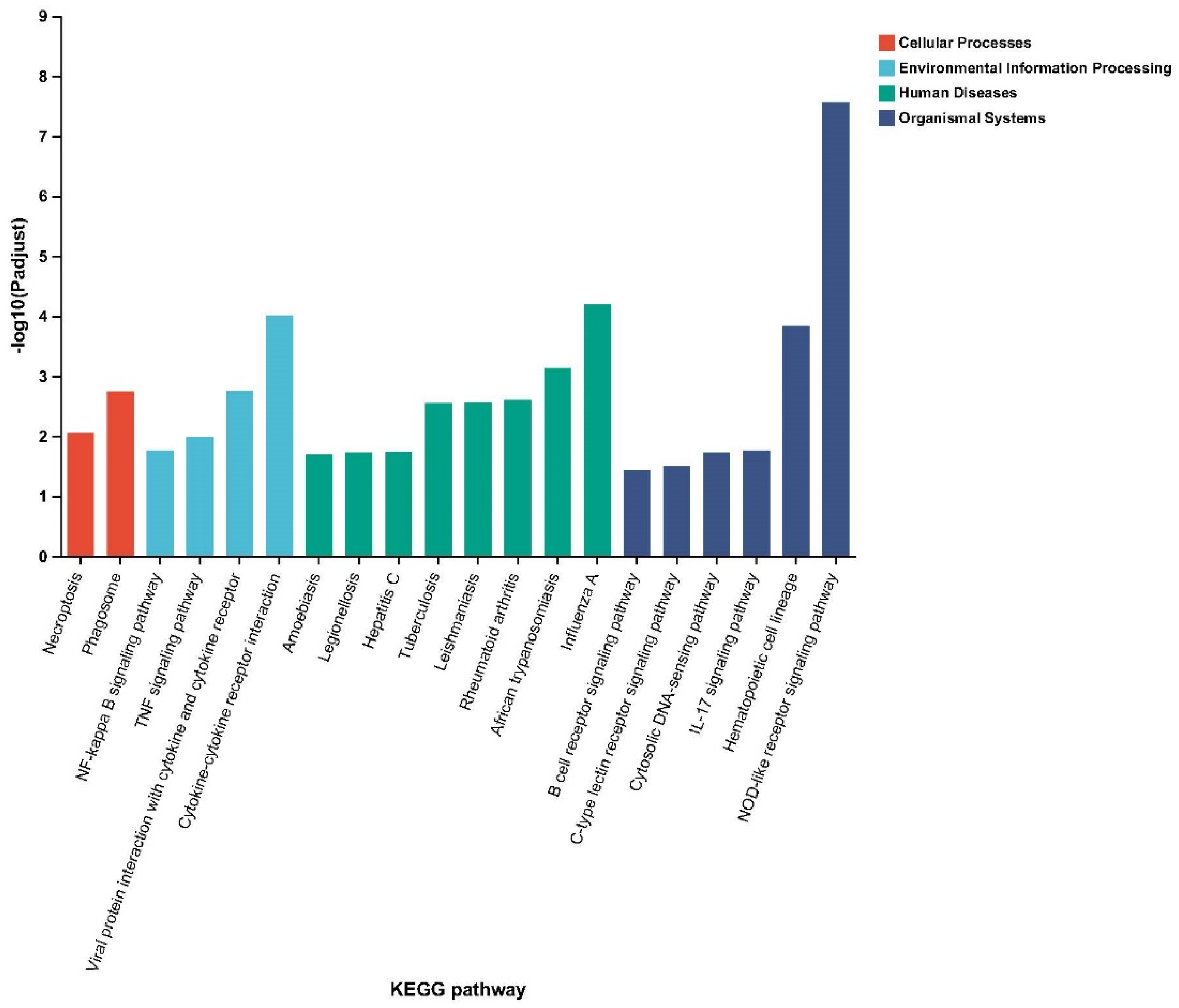 Ijms 24 01124 g003 Ijms 24 01124 g003