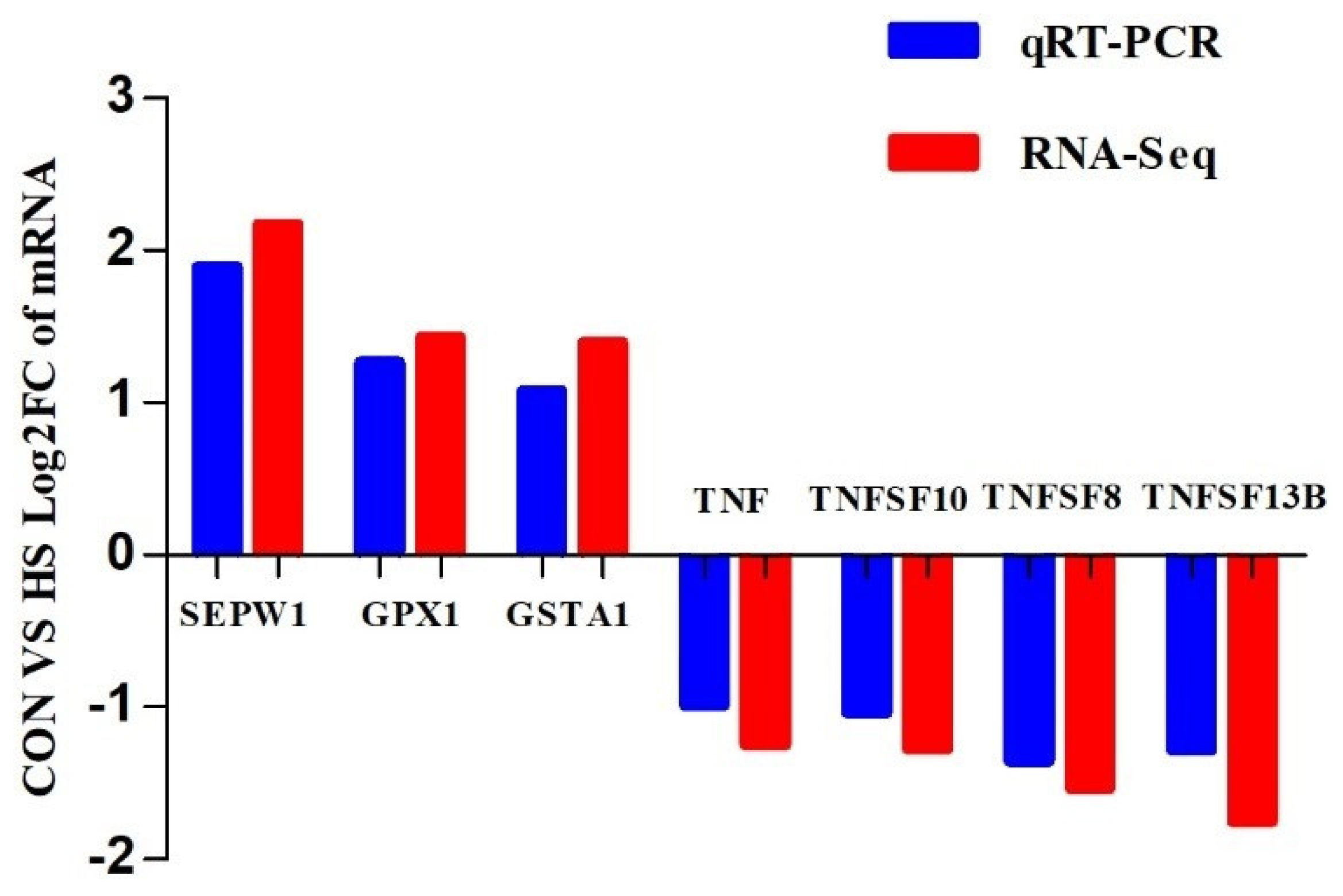 Ijms 24 01124 g006 Ijms 24 01124 g006