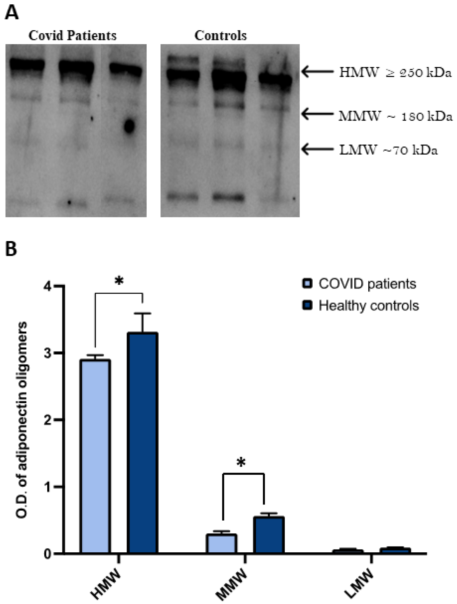 Ijms 24 01131 g003 Ijms 24 01131 g003