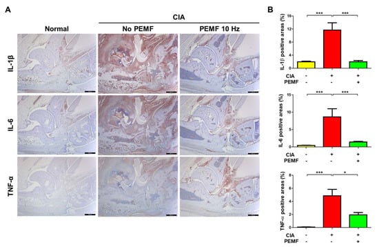 https://www.mdpi.com/ijms/ijms-24-01137/article_deploy/html/images/ijms-24-01137-g005-550.jpg