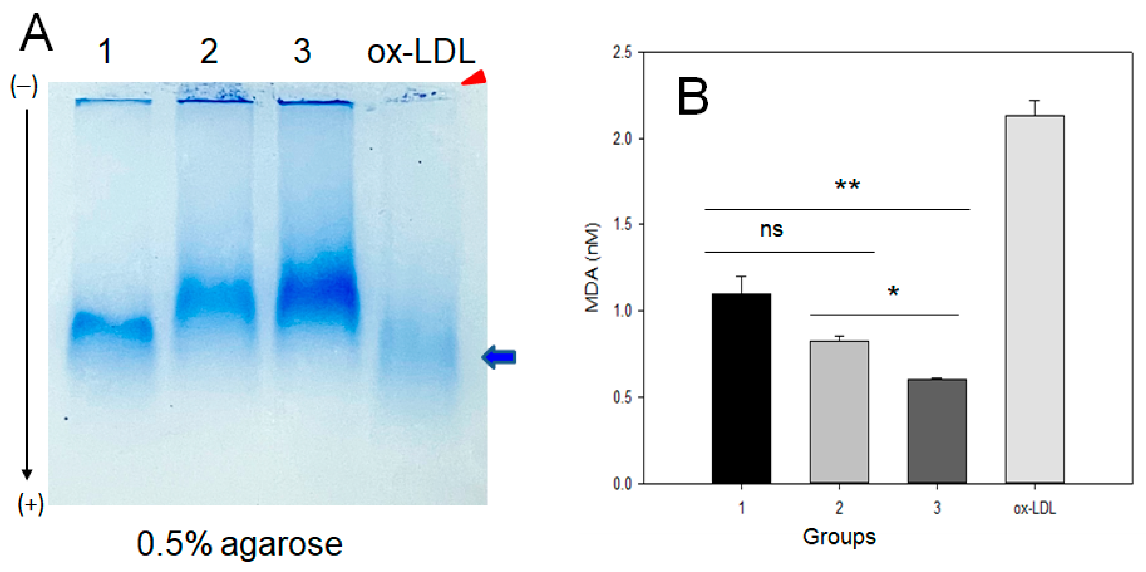 Ijms 24 01151 g002 Ijms 24 01151 g002