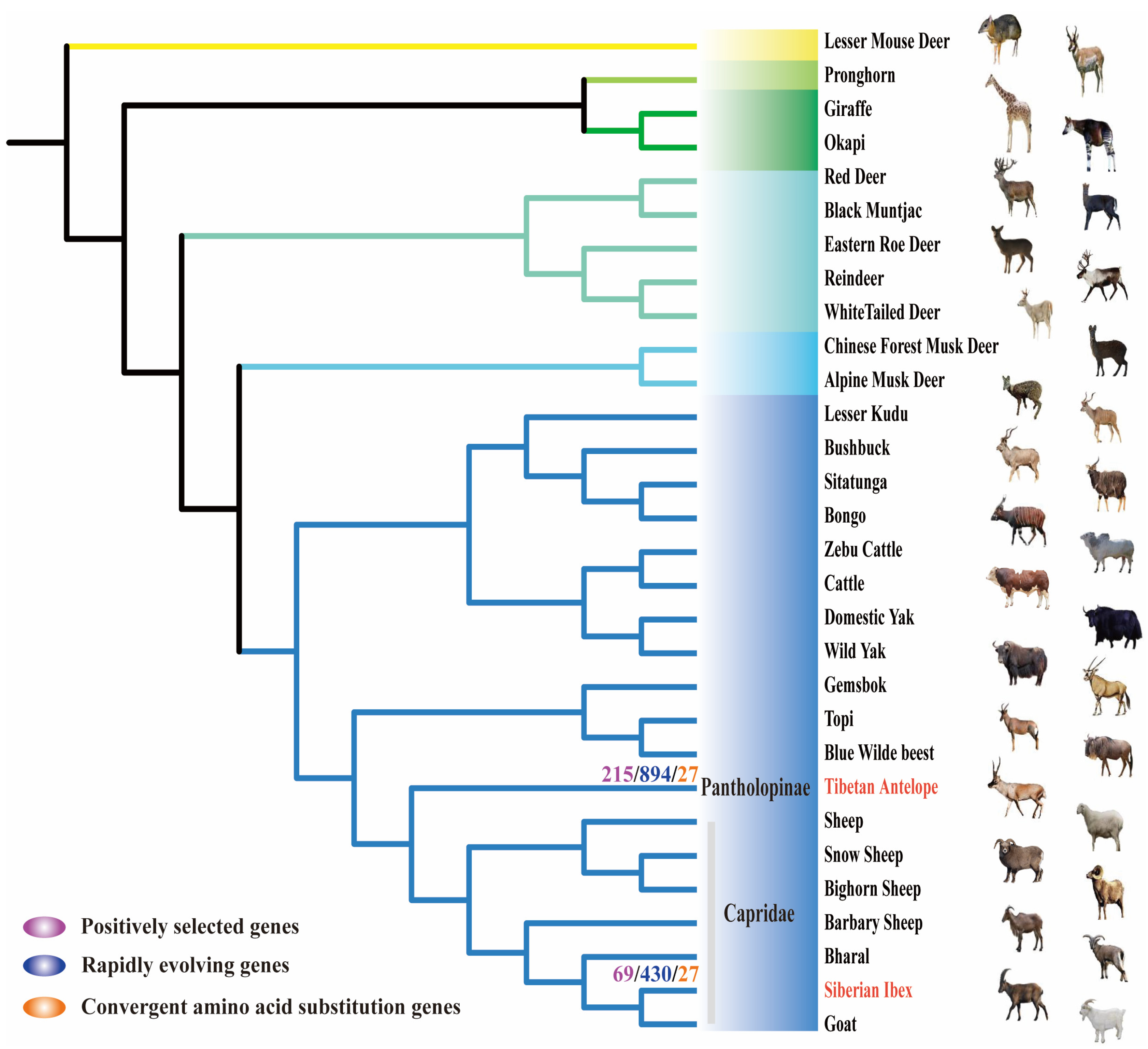 Ijms 24 01165 g001 Ijms 24 01165 g001
