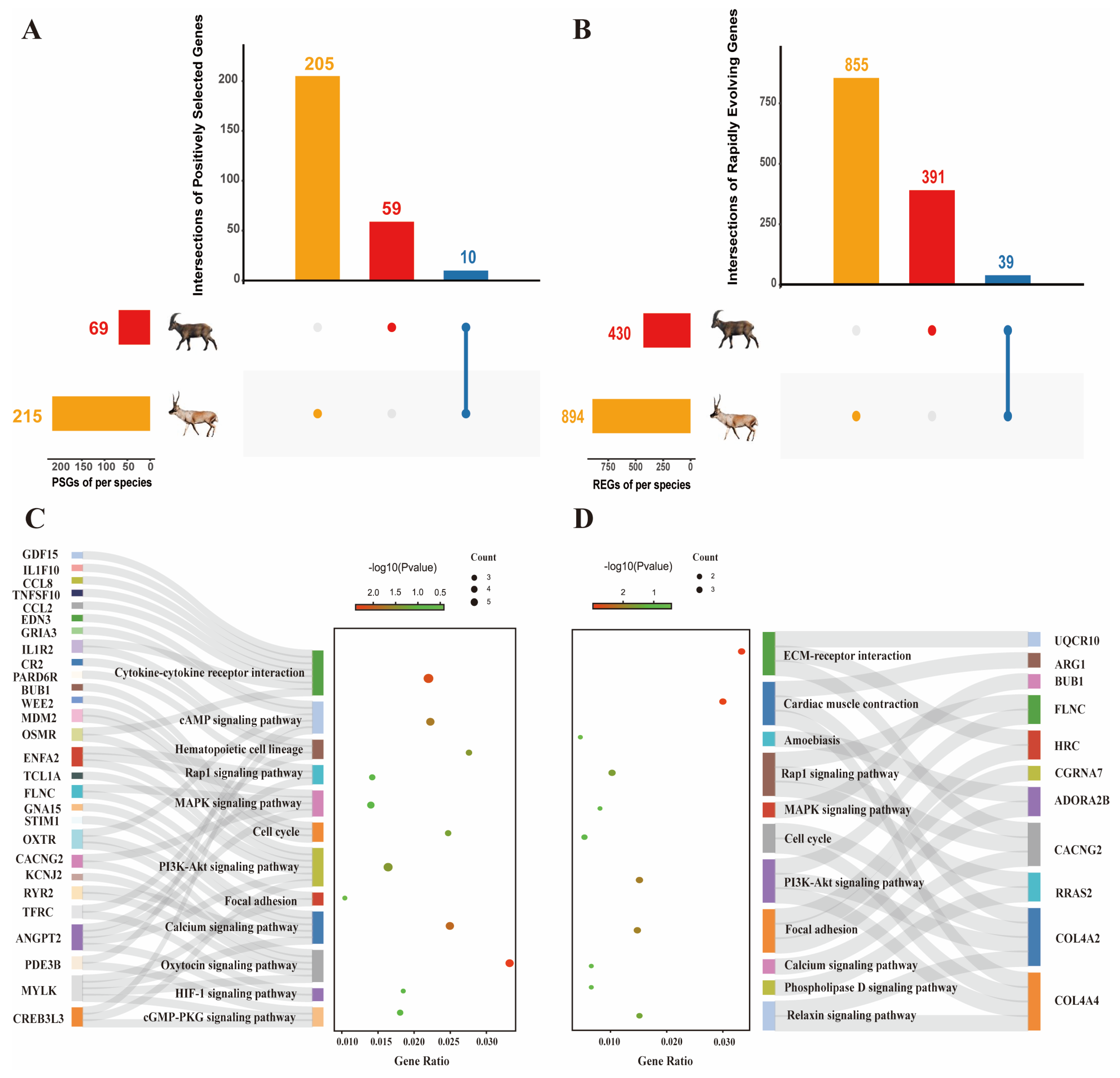 Ijms 24 01165 g002 Ijms 24 01165 g002