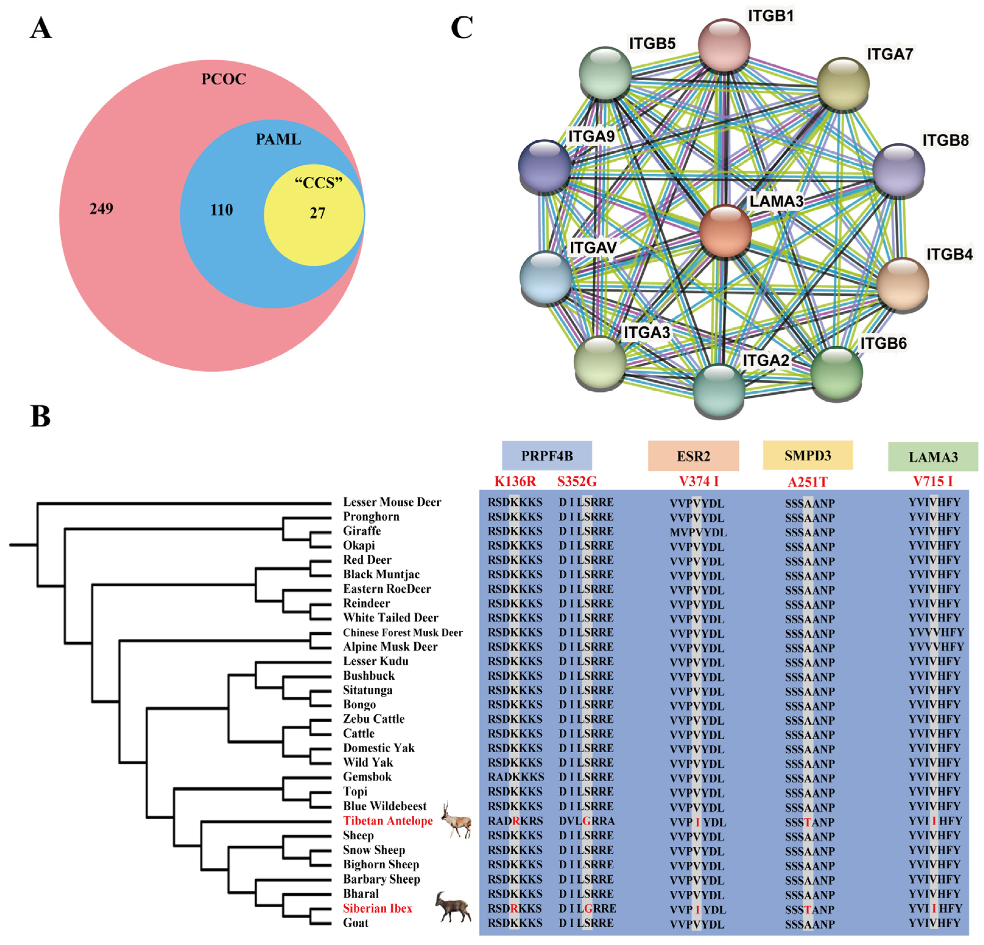 Ijms 24 01165 g003 Ijms 24 01165 g003