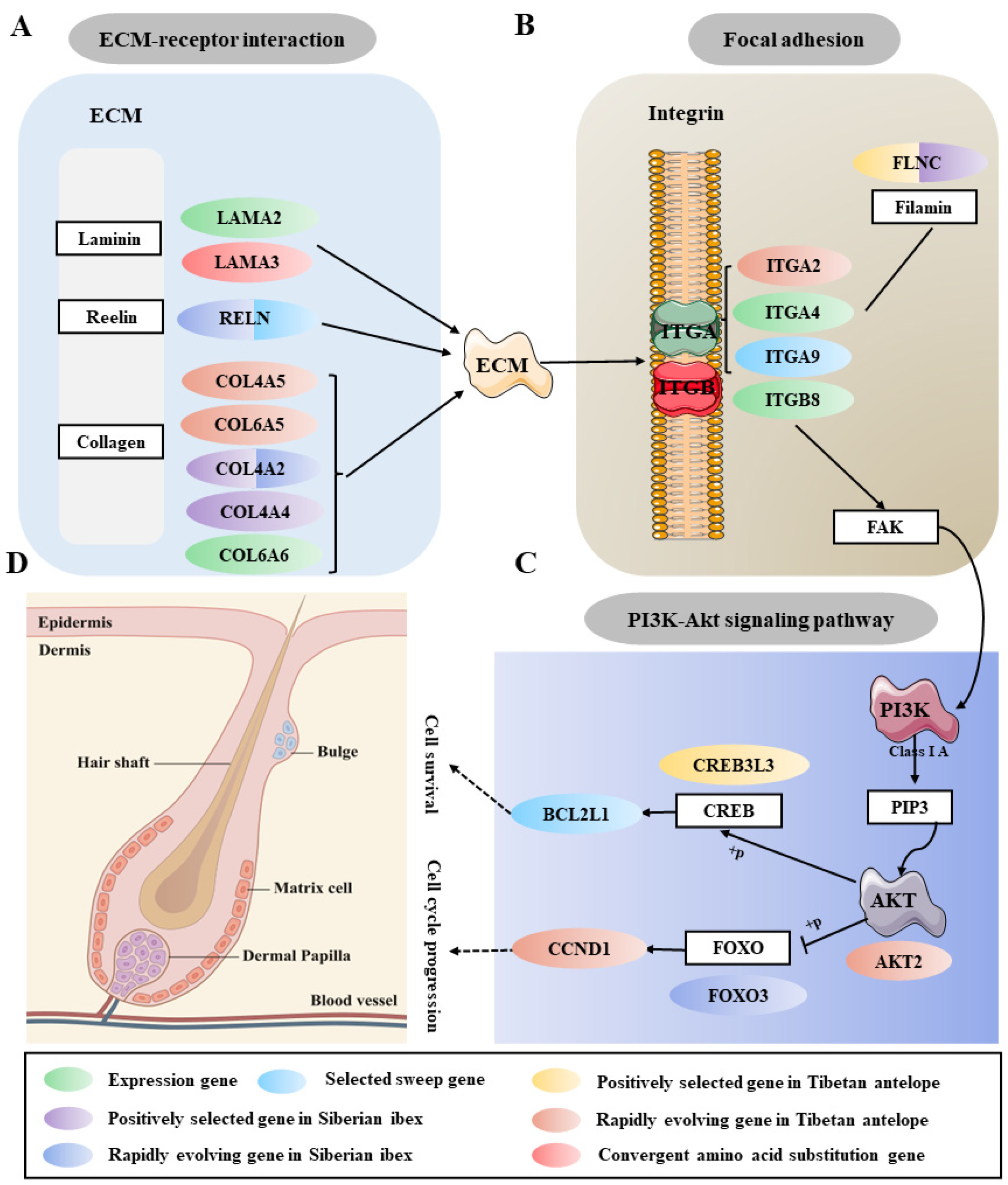 Ijms 24 01165 g006 Ijms 24 01165 g006