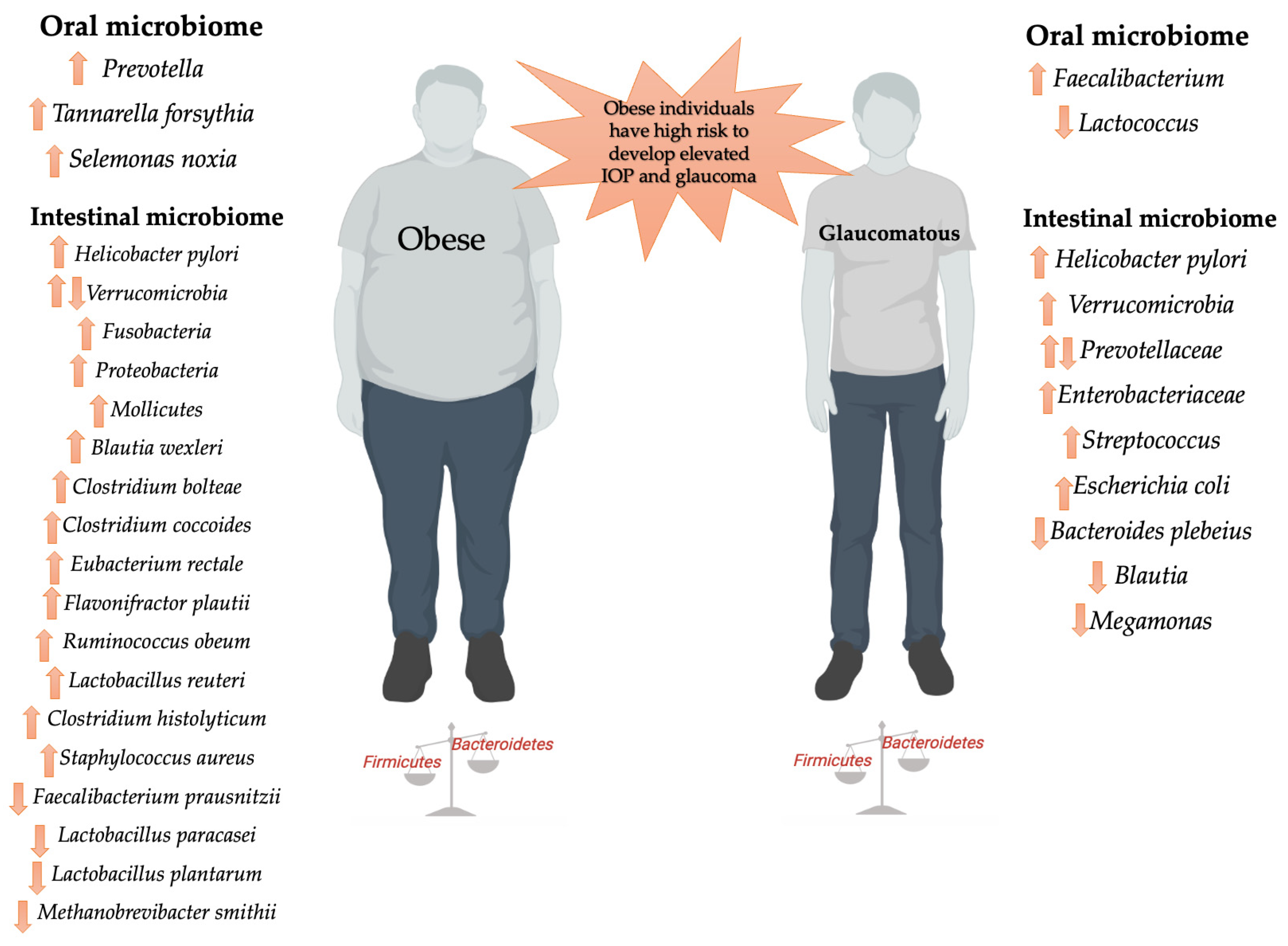 IJMS Free Full Text Microbiome Dysbiosis A Pathological  