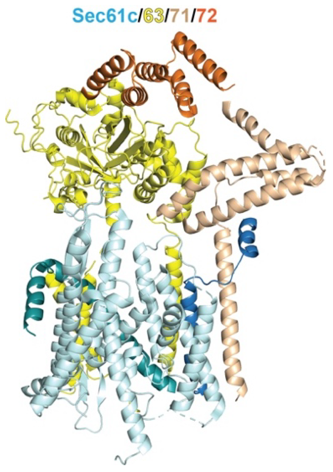 Ijms 24 01170 g003 Ijms 24 01170 g003