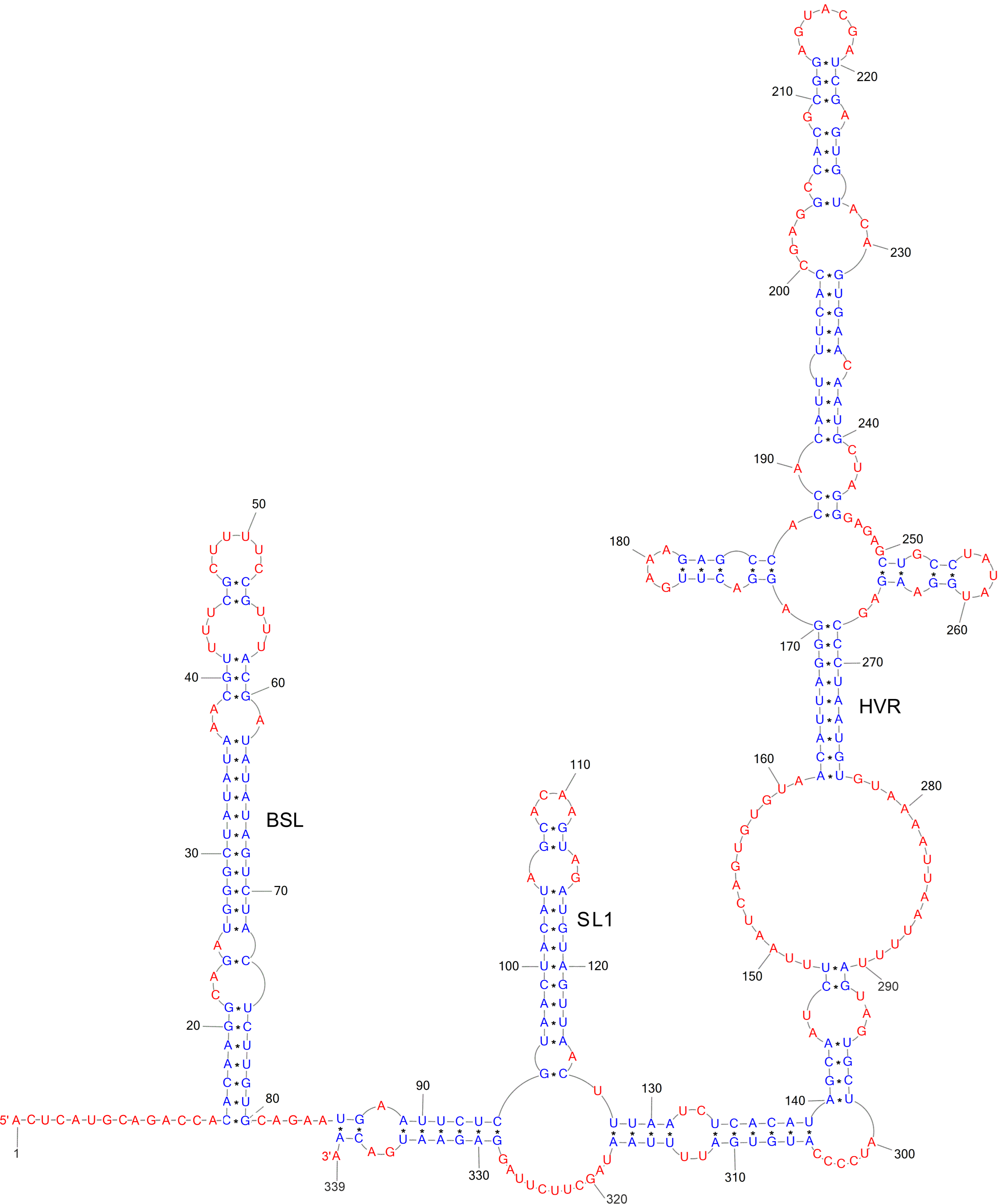 Ijms 24 01232 g002 Ijms 24 01232 g002